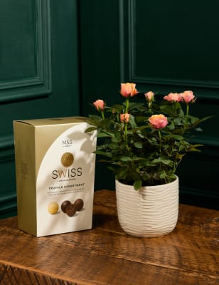 M&S Rose in Ceramic Pot with Truffles