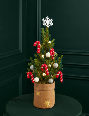 M&S Candy Cane Letterbox Tree