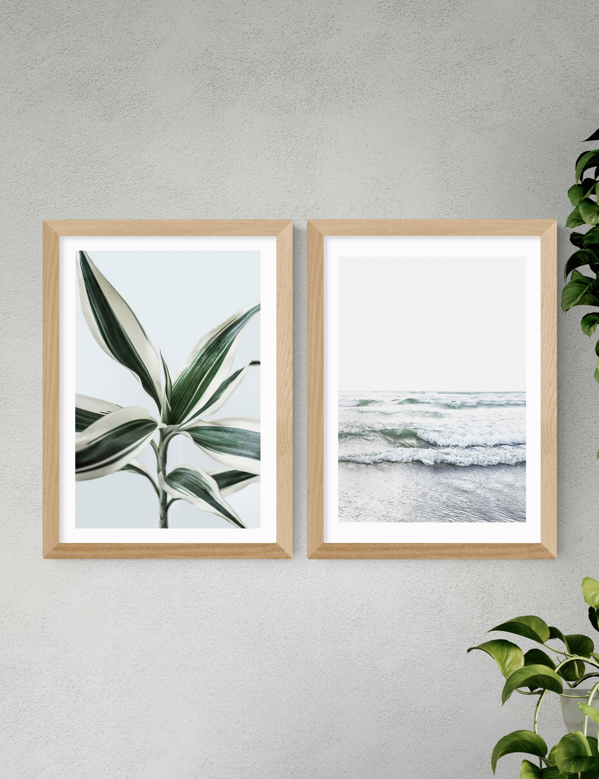 East End Prints Botanical Beach Twin Set Framed Art - A3 - Natural, Natural,White,Black