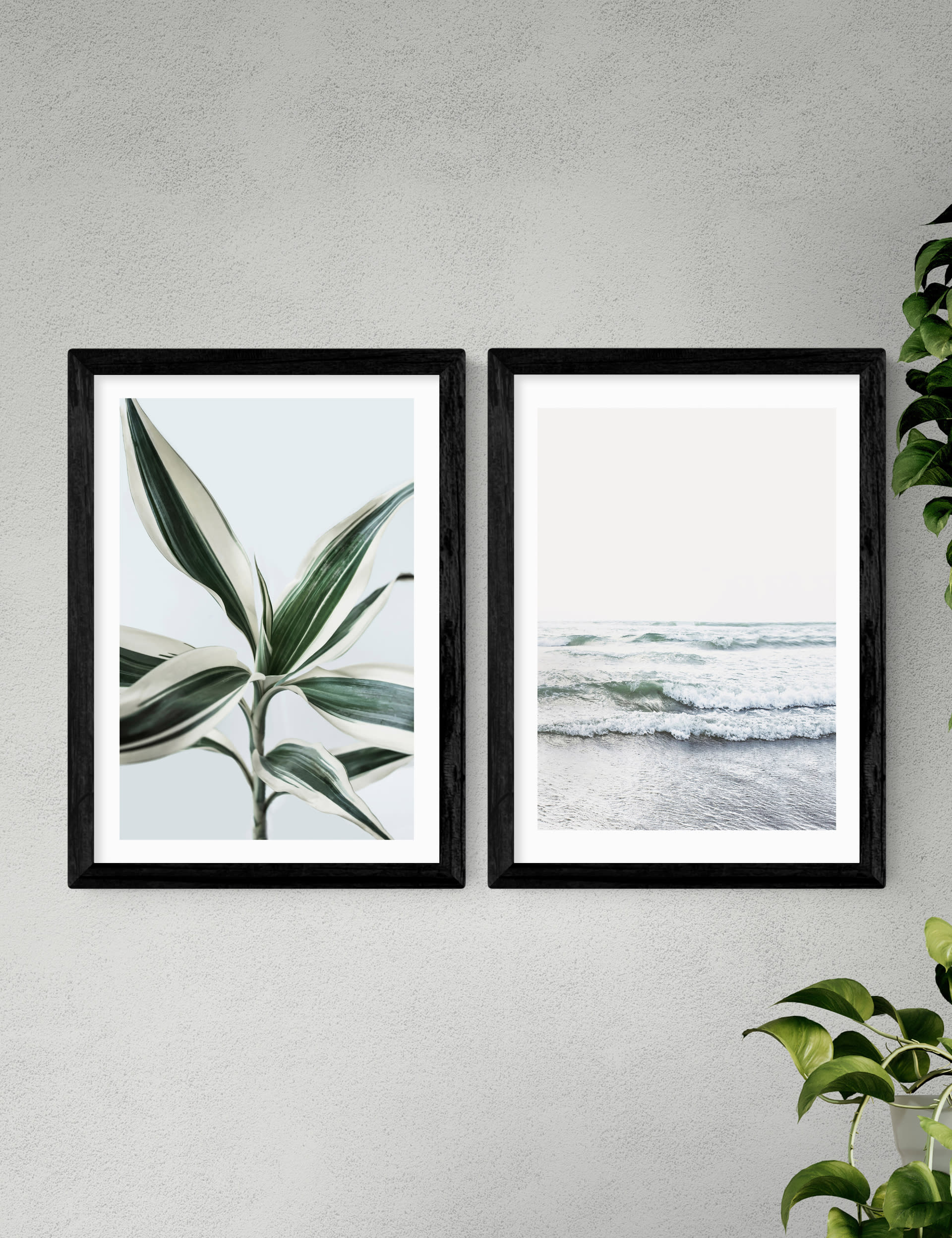 East End Prints Botanical Beach Twin Set Framed Art - A2 - Black, Black,Natural,White