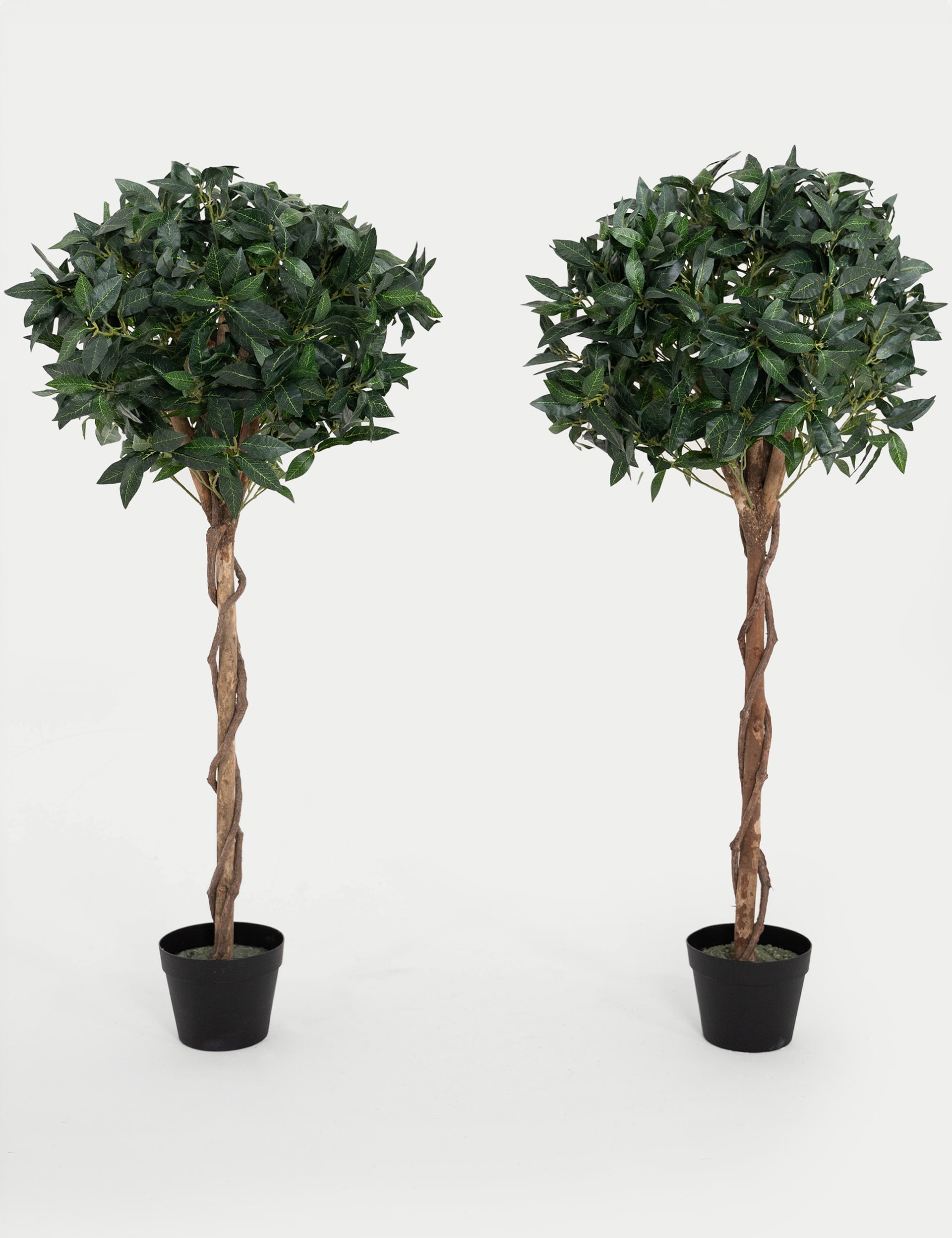 Blooming Artificial 4ft Set of 2 Artificial Bay Trees in Pots - Green, Green