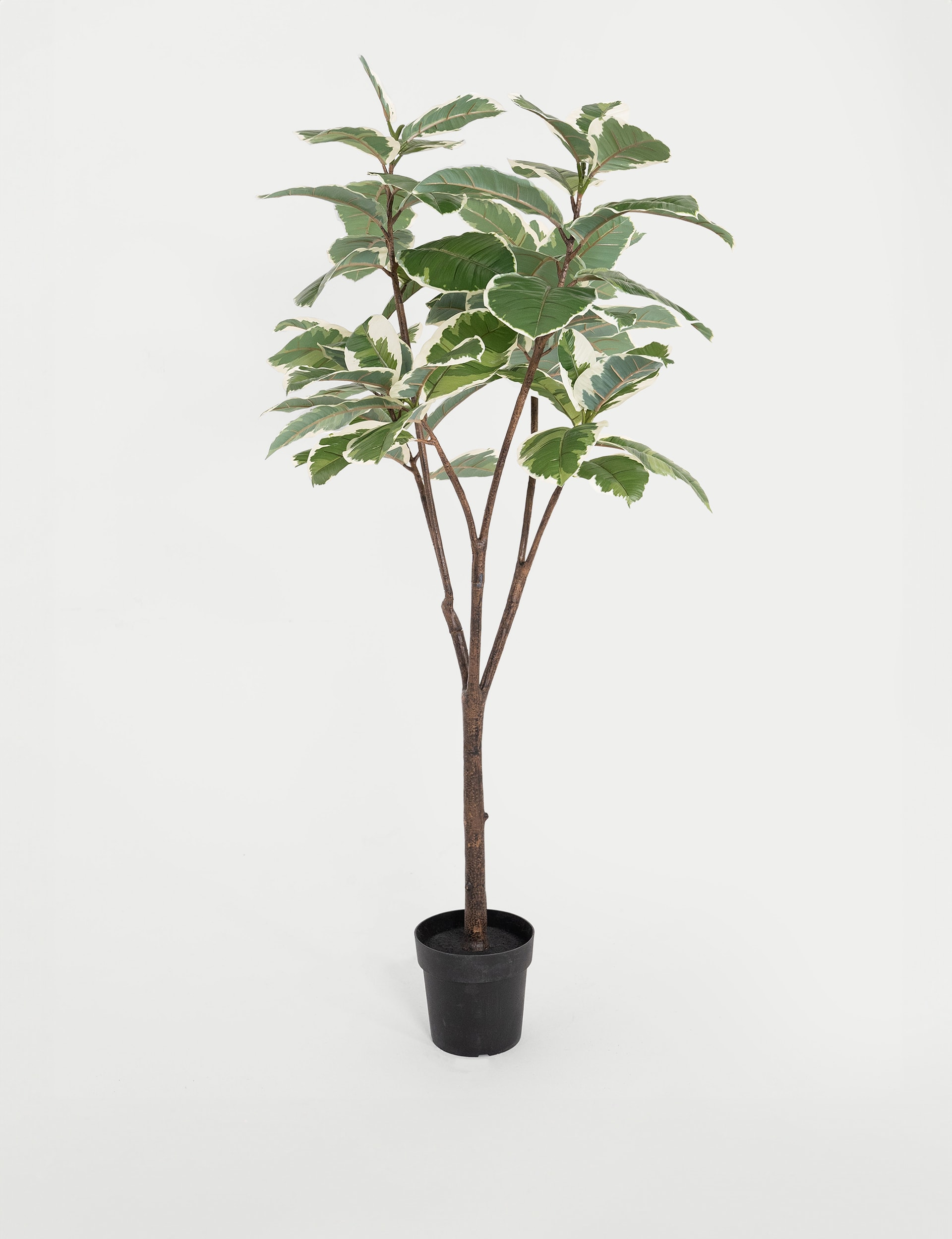 Blooming Artificial 5.5ft Artificial Ficus Elastica Rubber Tree in Pot - Green Mix, Green Mix