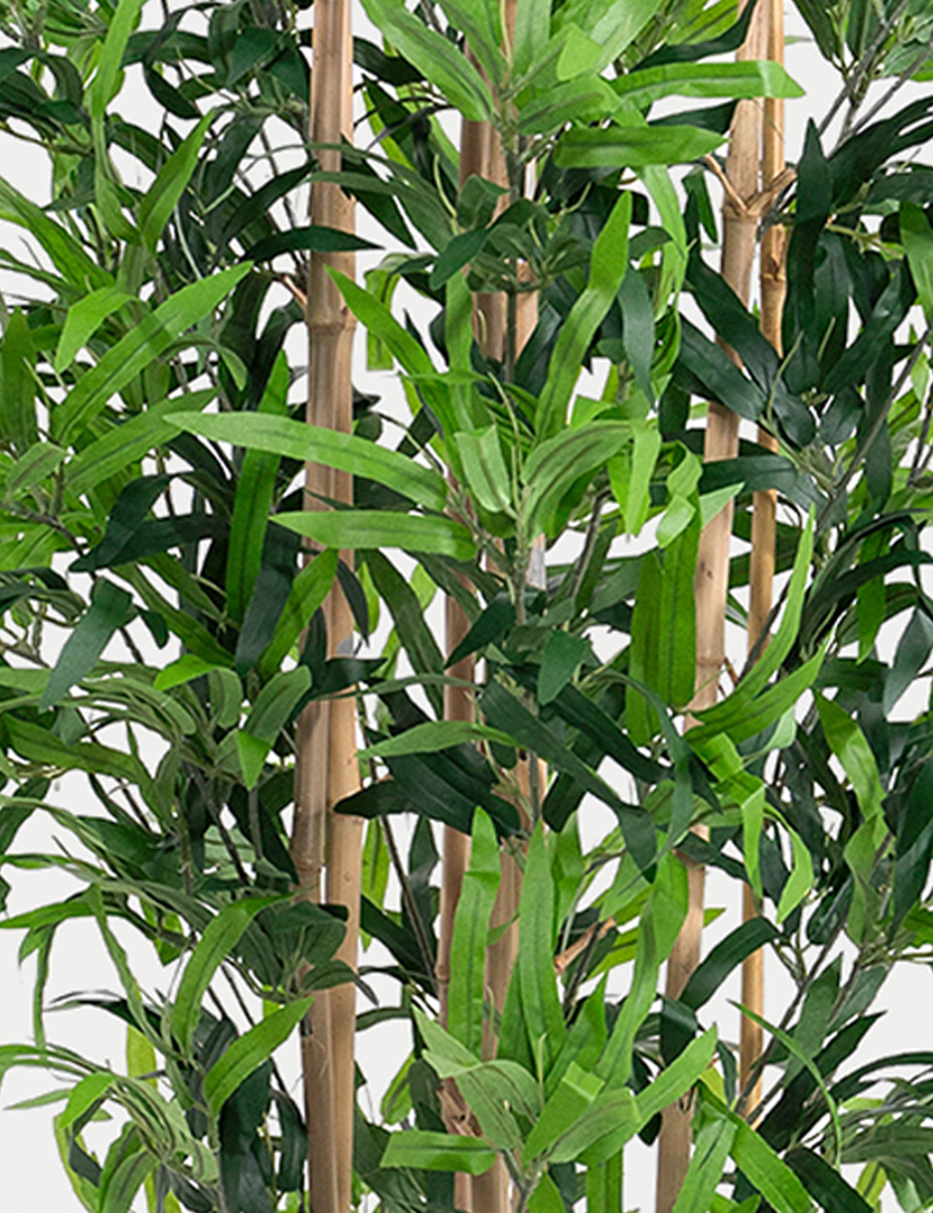 Blooming Artificial 5ft Artificial Oriental Bamboo Tree - Green, Green