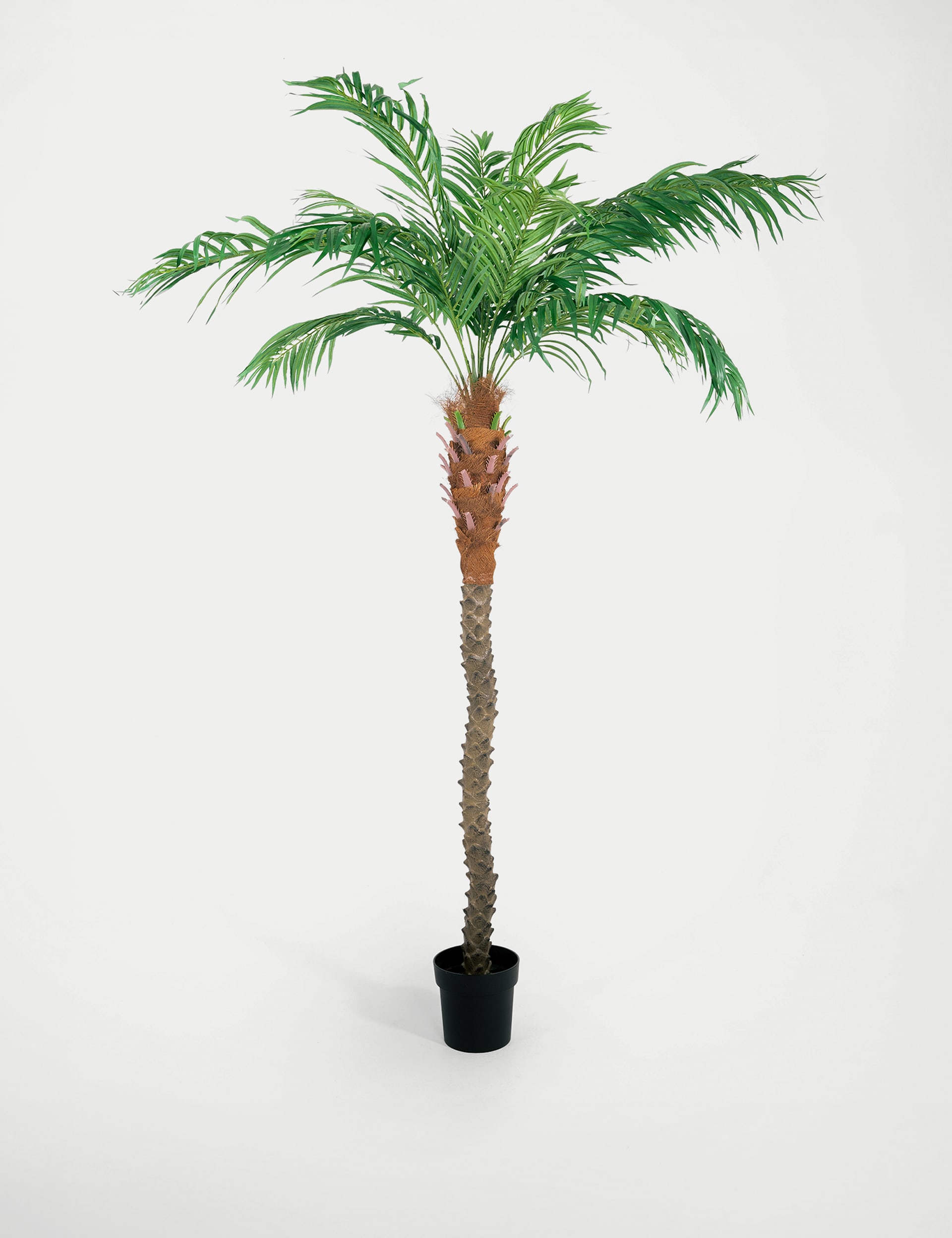 Blooming Artificial 8ft Artificial Phoenix Palm Tree in Pot - Green, Green