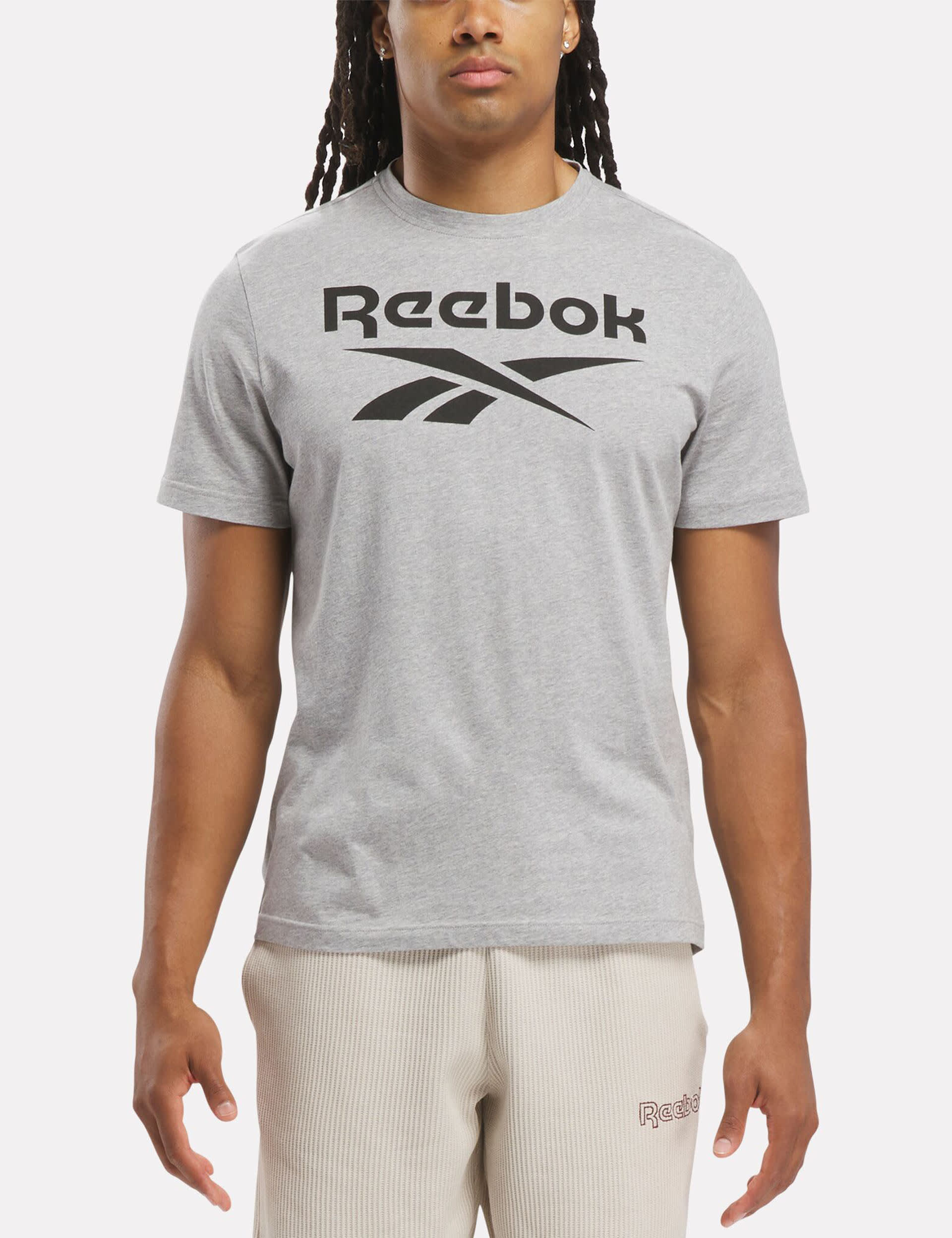 Reebok Men's Identity Big Logo Pure Cotton T-Shirt - Grey, Grey