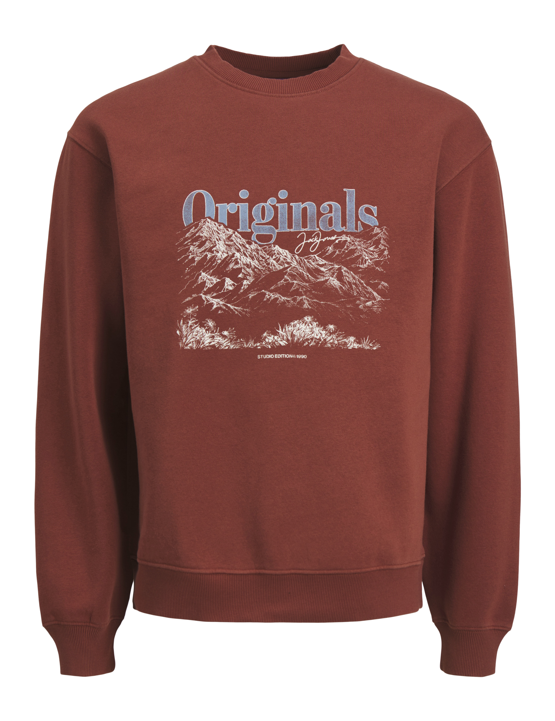 Jack & Jones Junior Boys Cotton Rich Mountain Sweatshirt (8-16 Yrs) - 12y - Brown Mix, Cream Mix,Bro