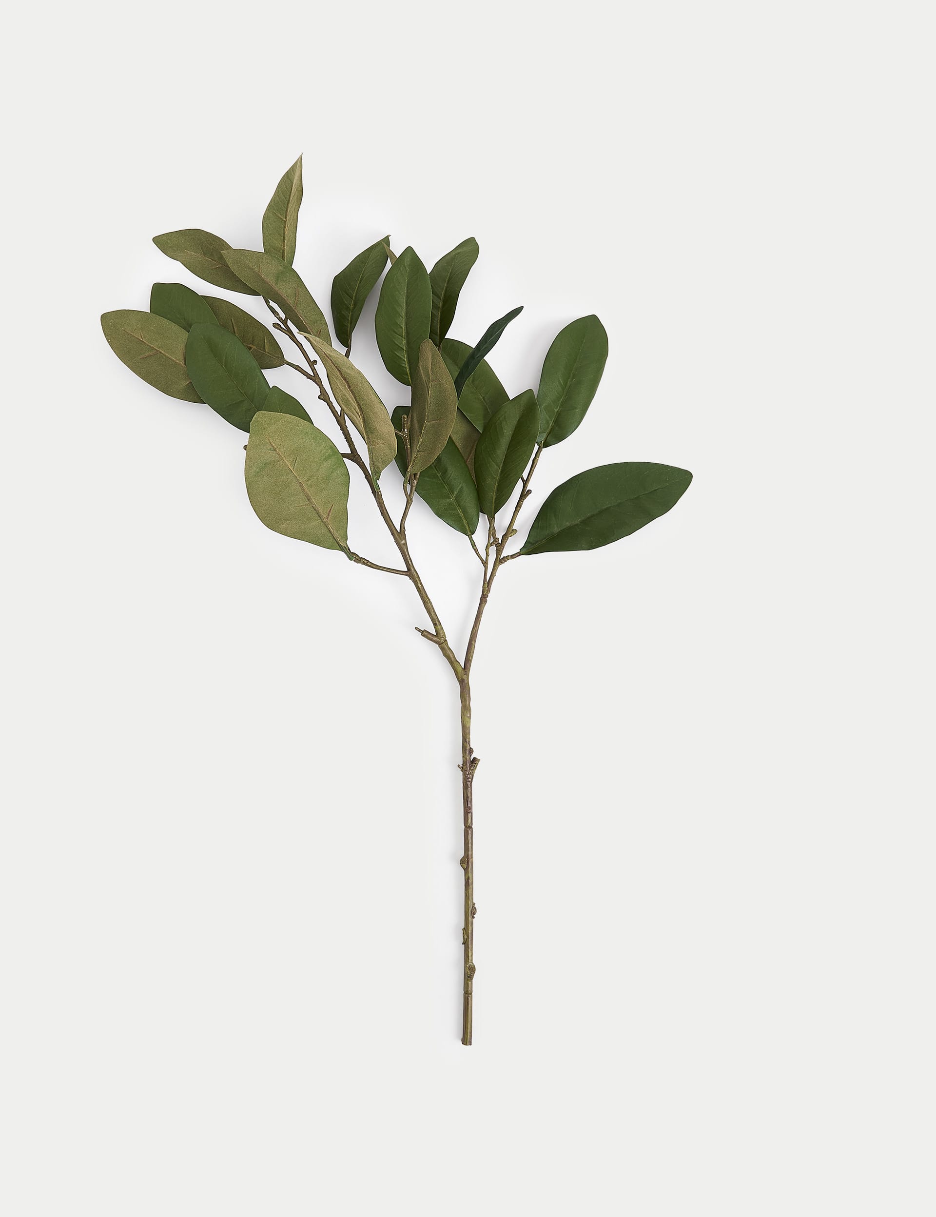 M&S Collection Artificial Laurel Single Stem - Green, Green