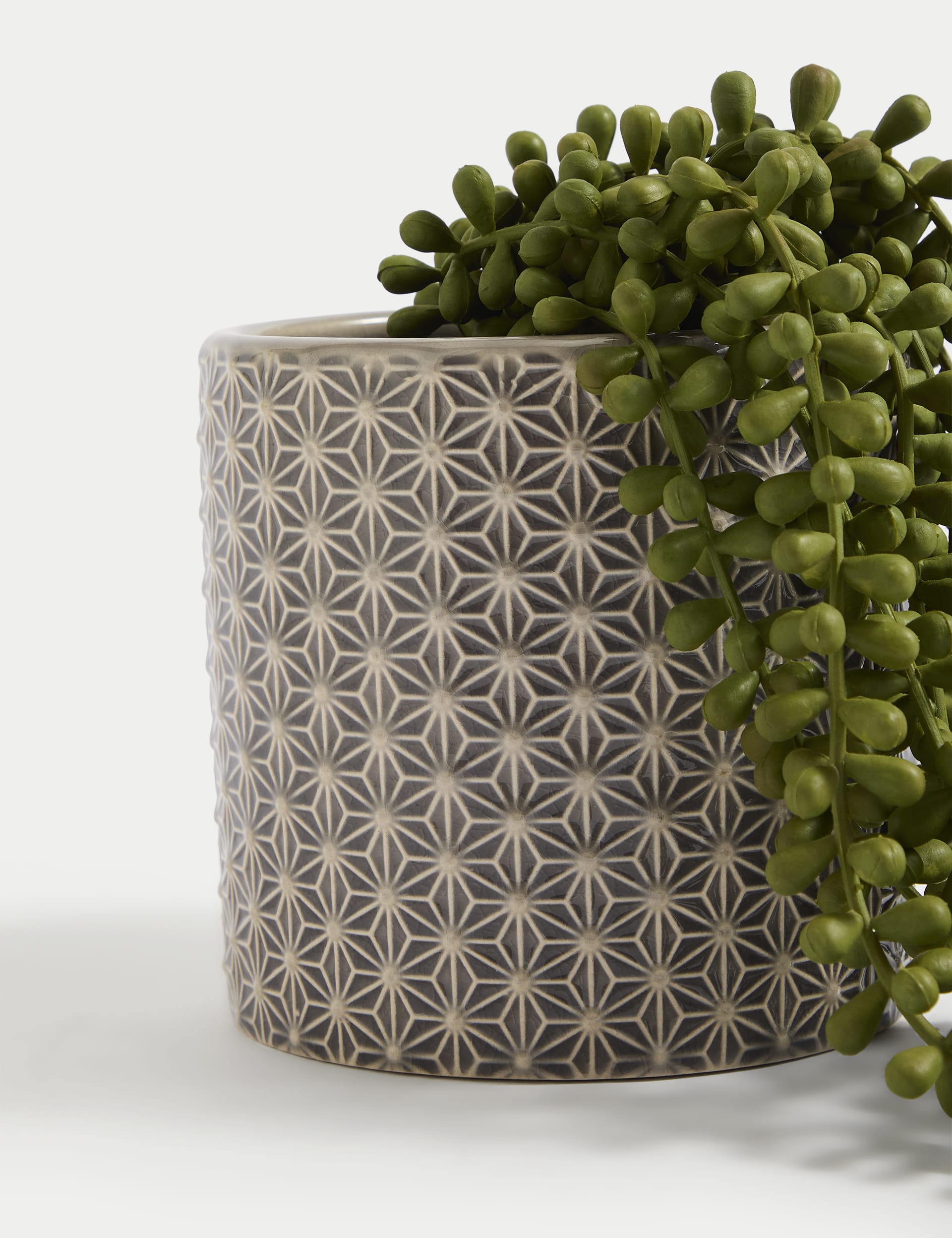 Moss & Sweetpea Artificial String of Pearls in Ceramic Pot - Green, Green