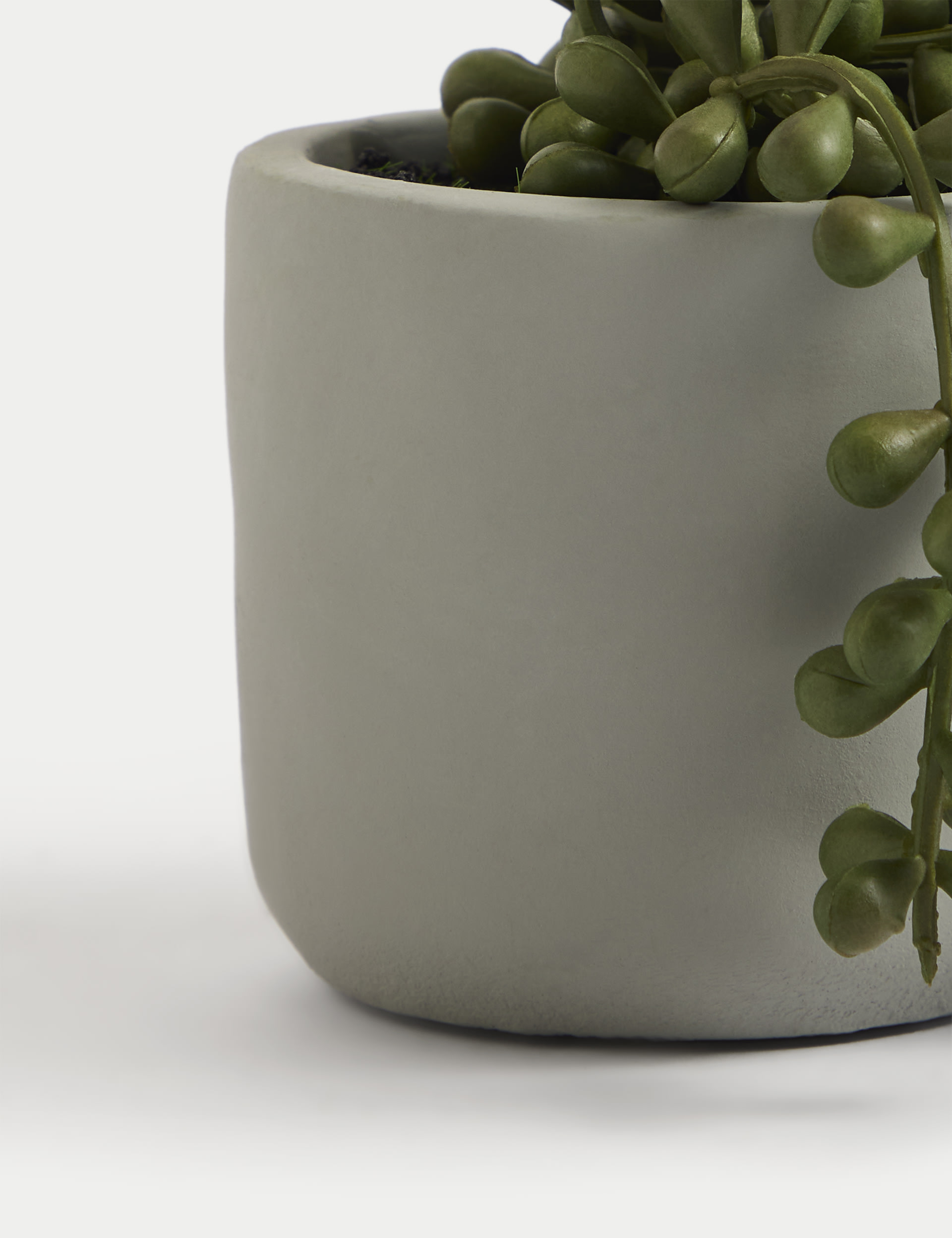 Moss & Sweetpea Artificial Mini String of Pearls in Pot - Green, Green