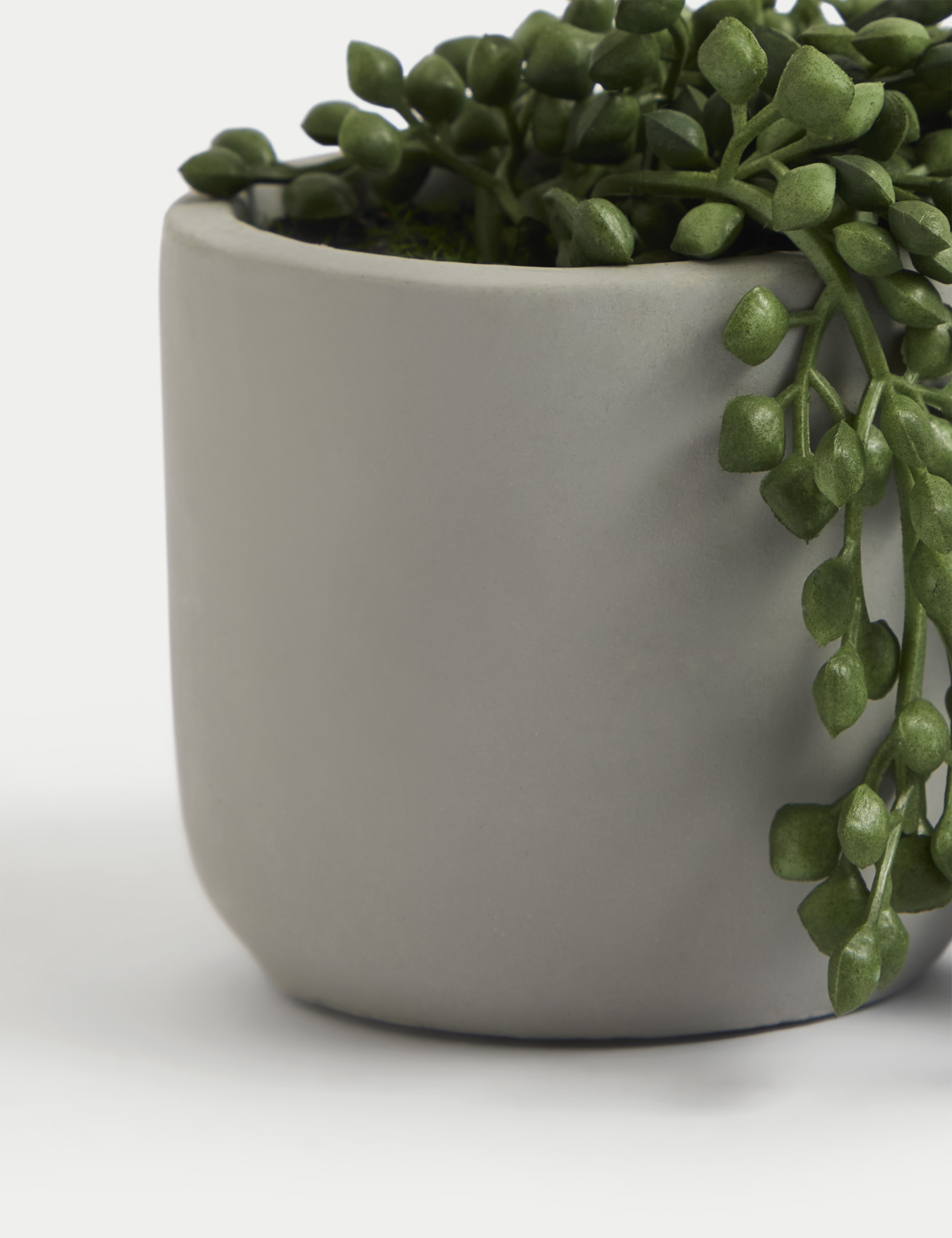 Moss & Sweetpea Artificial Mini Trailing Plant in Pot - Green, Green