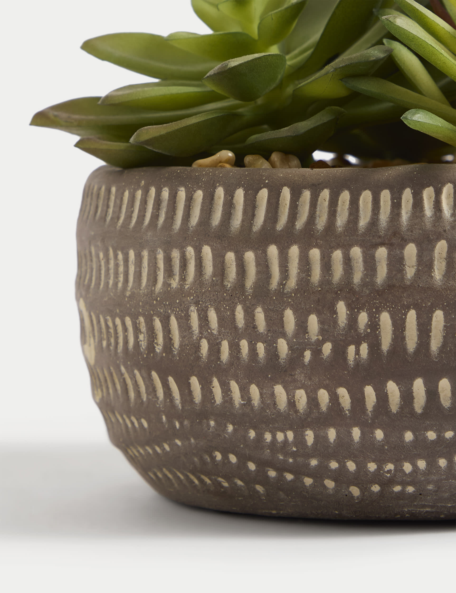 Moss & Sweetpea Artificial Succulents in Concrete Pot - Grey, Grey