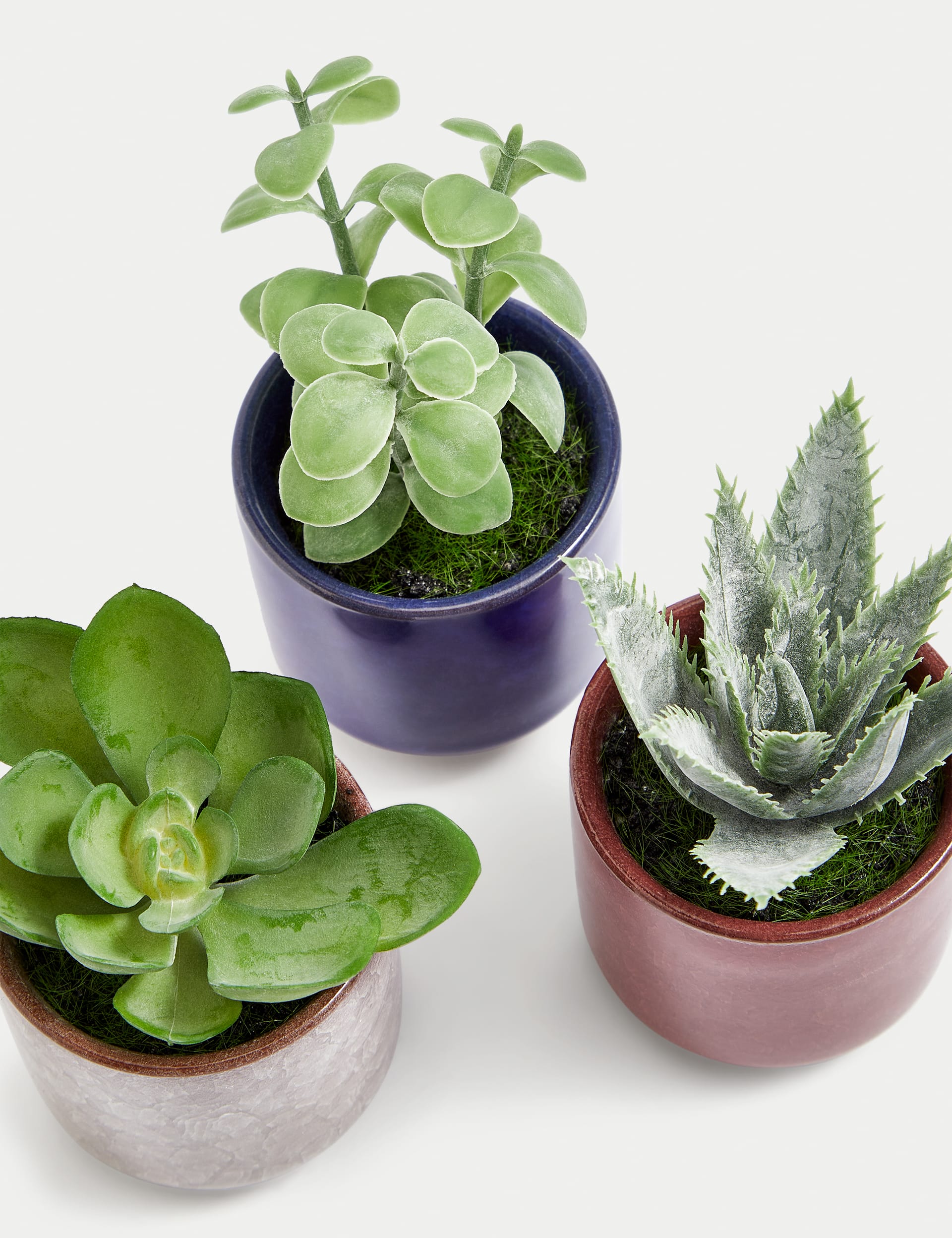 Moss & Sweetpea Set of 3 Artificial Mini Succulents in Pots - Green, Green