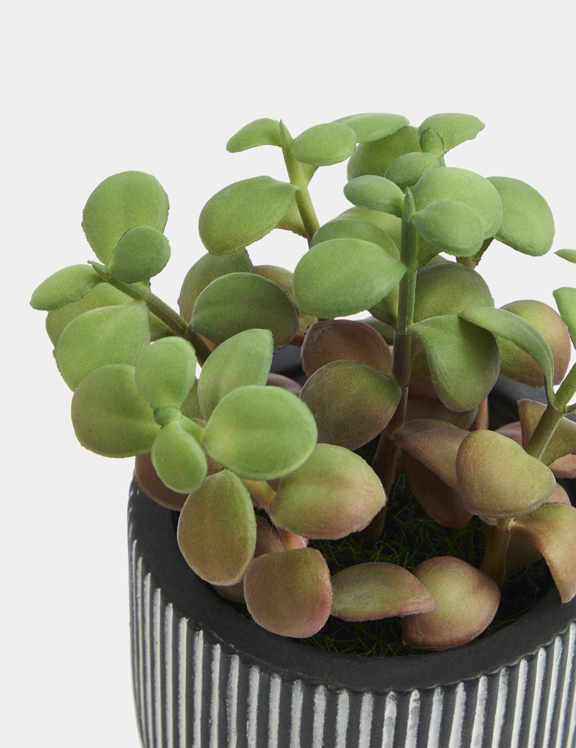 Moss & Sweetpea Artificial Mini Succulent Plant - Green, Green