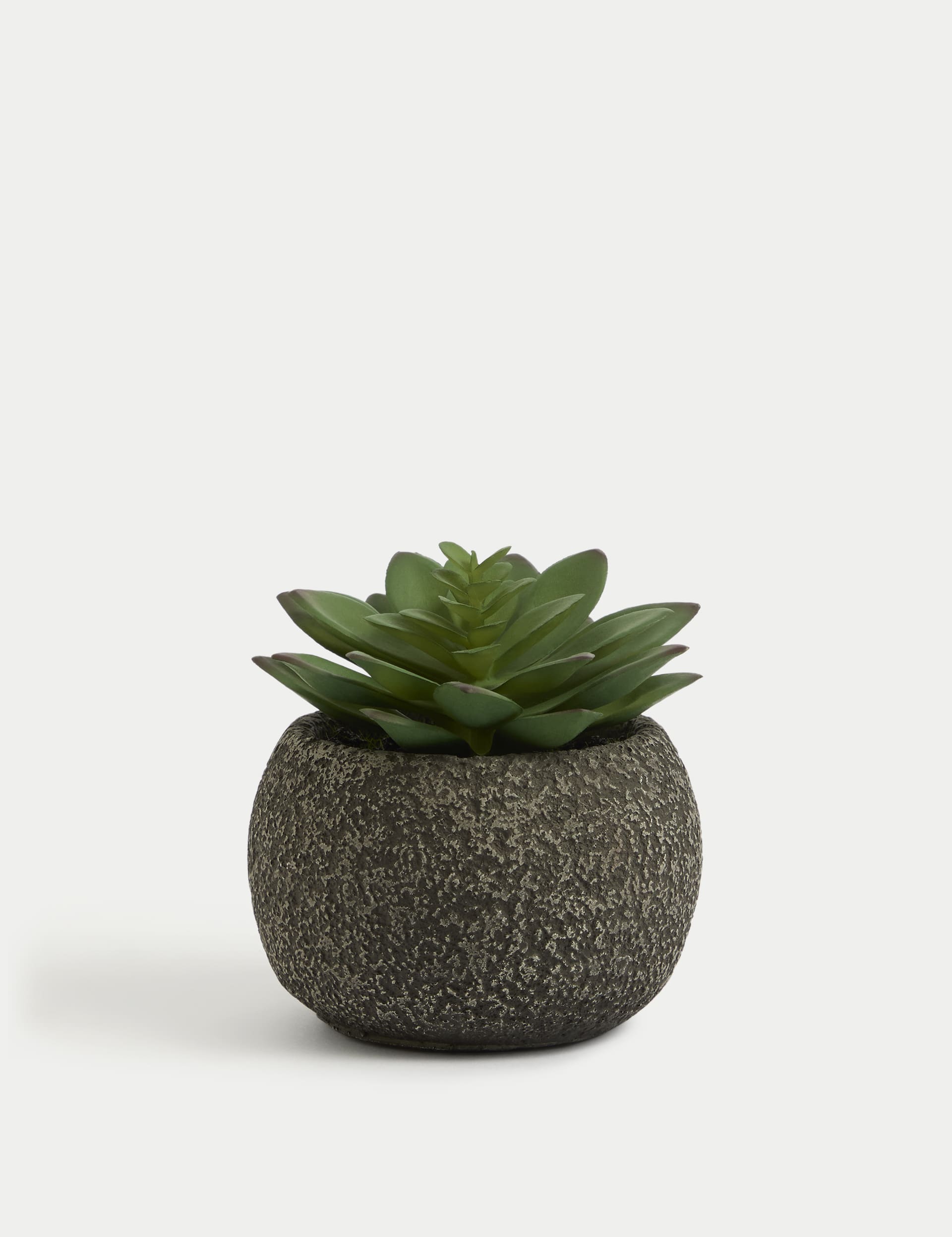 Moss & Sweetpea Artificial Mini Succulent in Concrete Pot - Green, Green