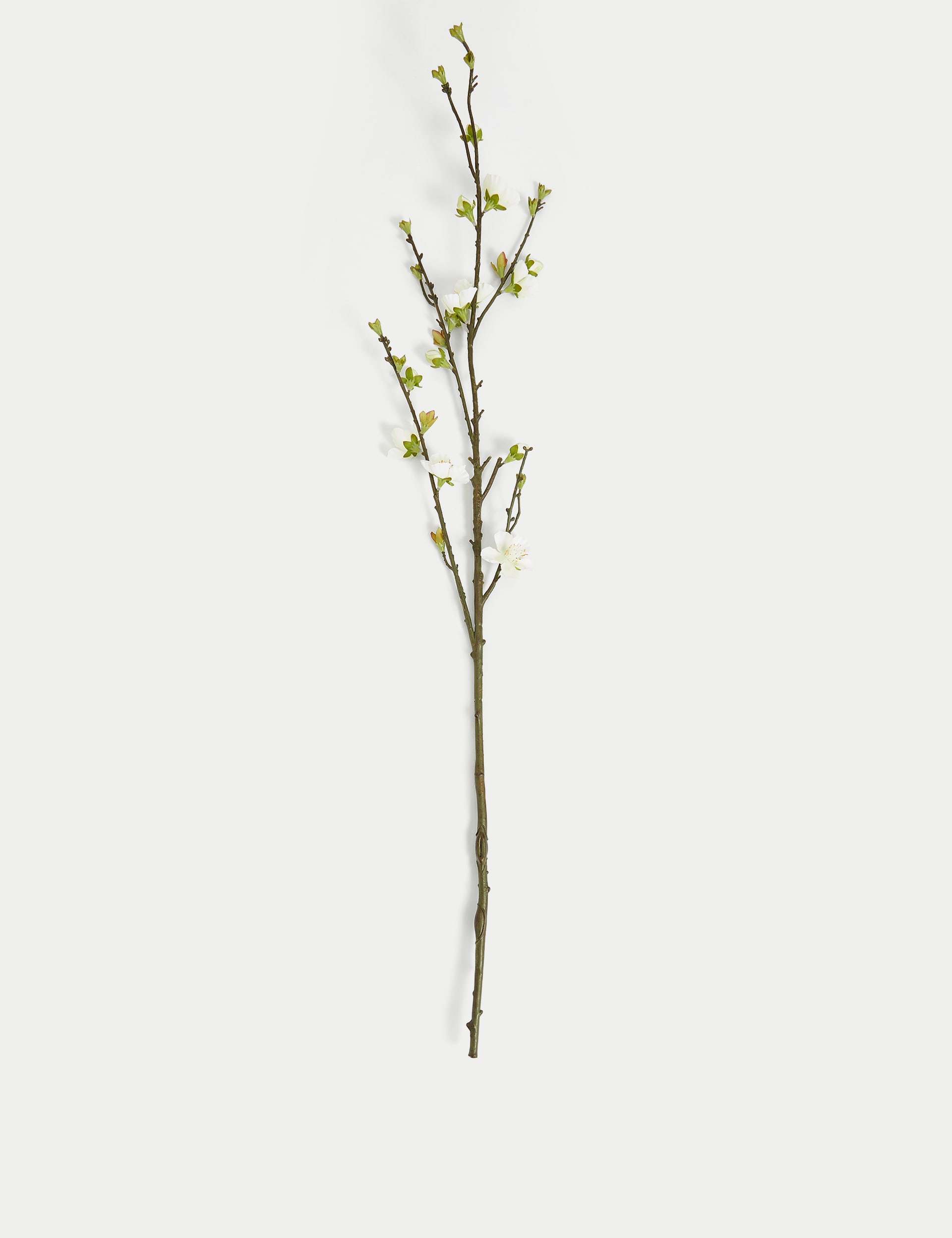 Moss & Sweetpea Set of 2 Artificial Blossom Single Stems - White, White