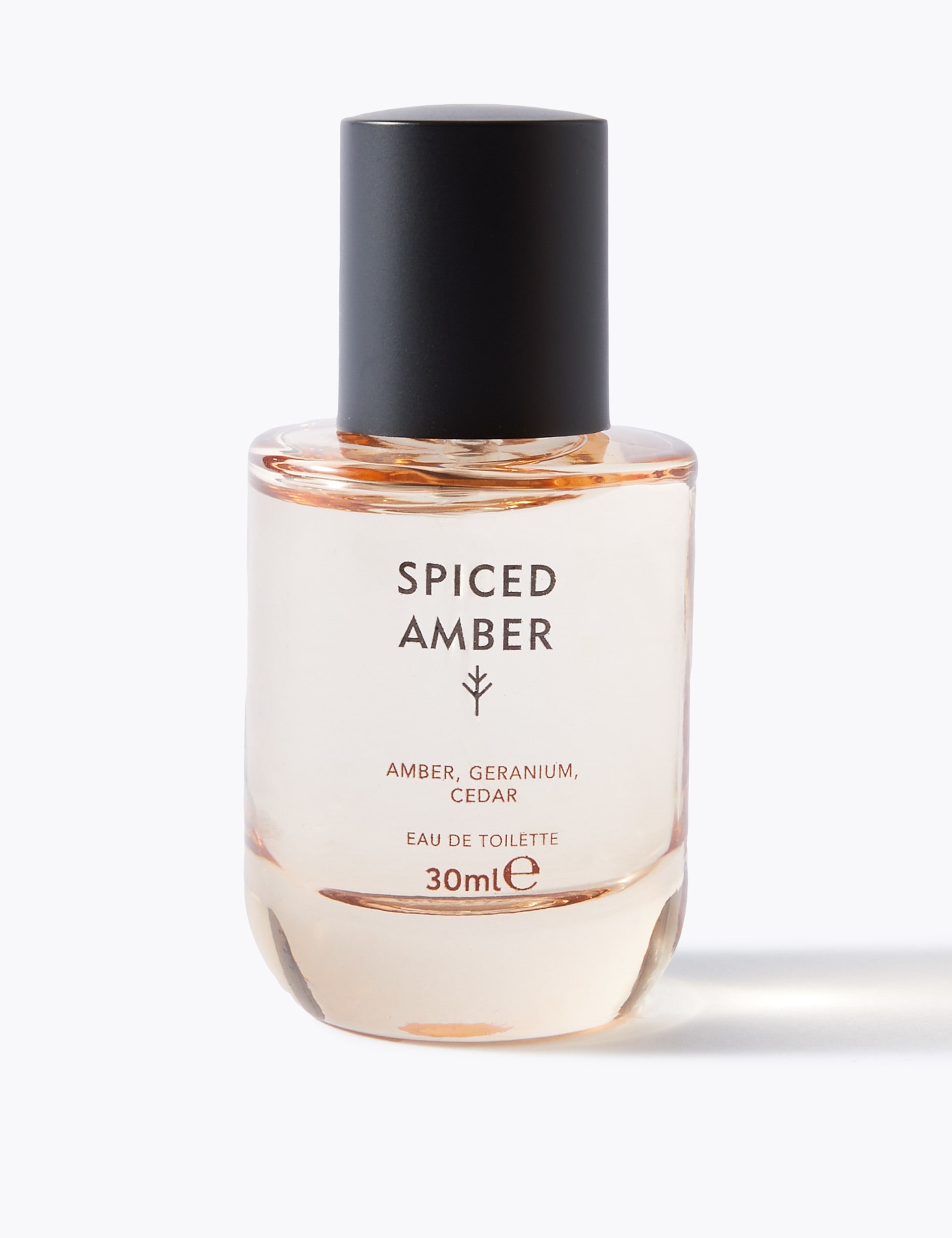 Discover Spiced Amber Eau De Toilette 30ml