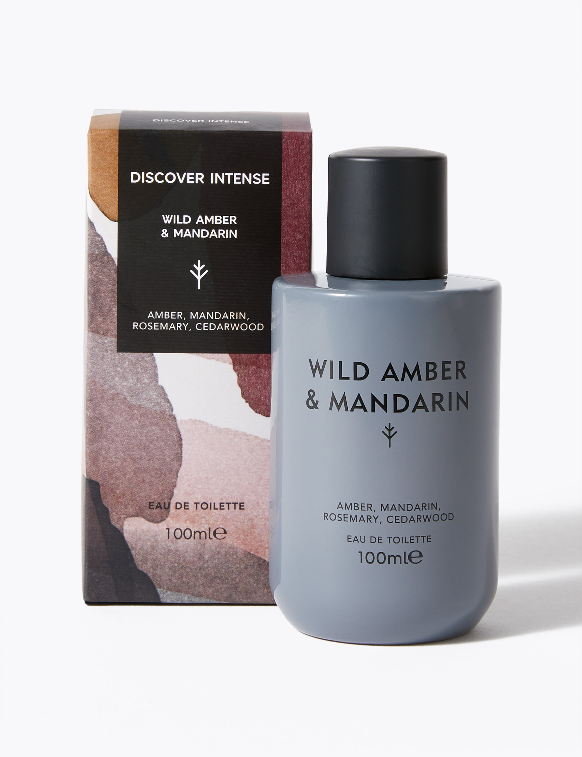 Discover Intense Wild Amber & Mandarin Eau de Toilette 100ml