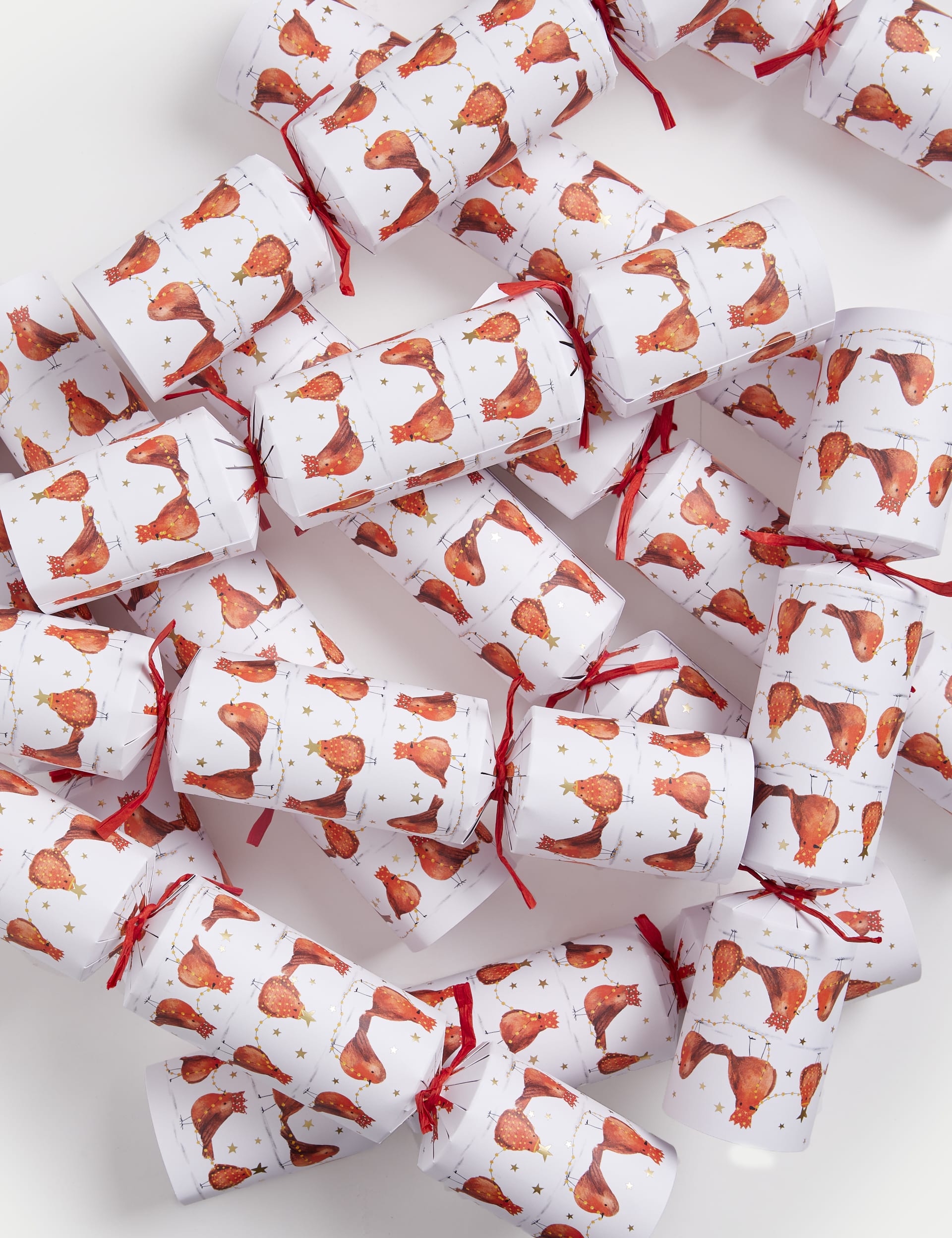 M&S 12 'Who Am I?' Guessing Game Christmas Crackers - Robins Design