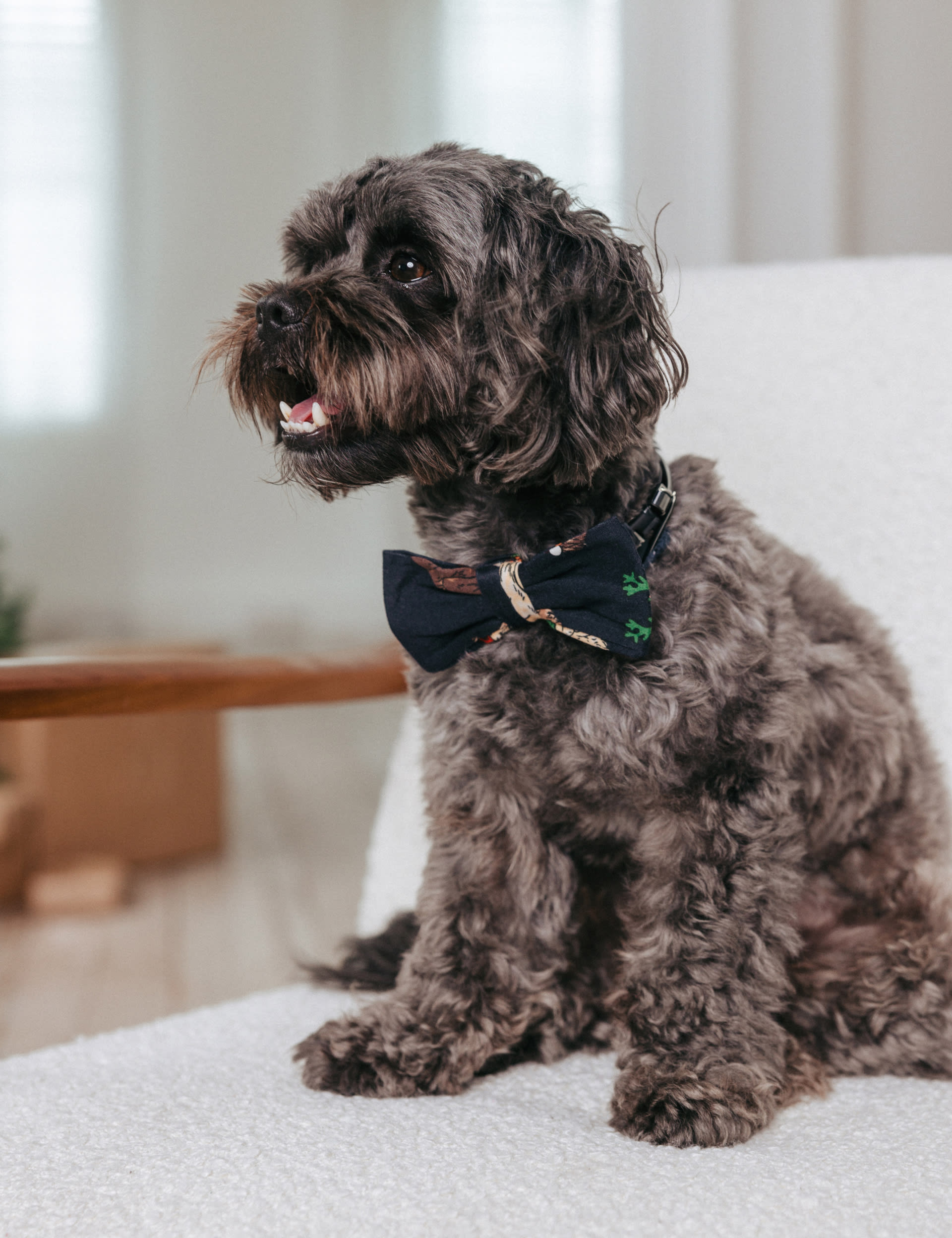 Chelsea Peers Christmas Dogs Print Dog Bow Tie - Navy Mix, Navy Mix