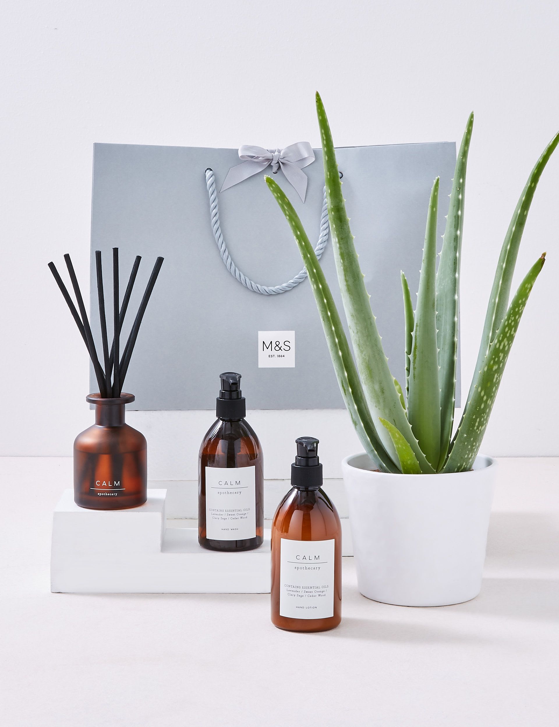 M&S Pamper Hamper with Aloe Vera Plant