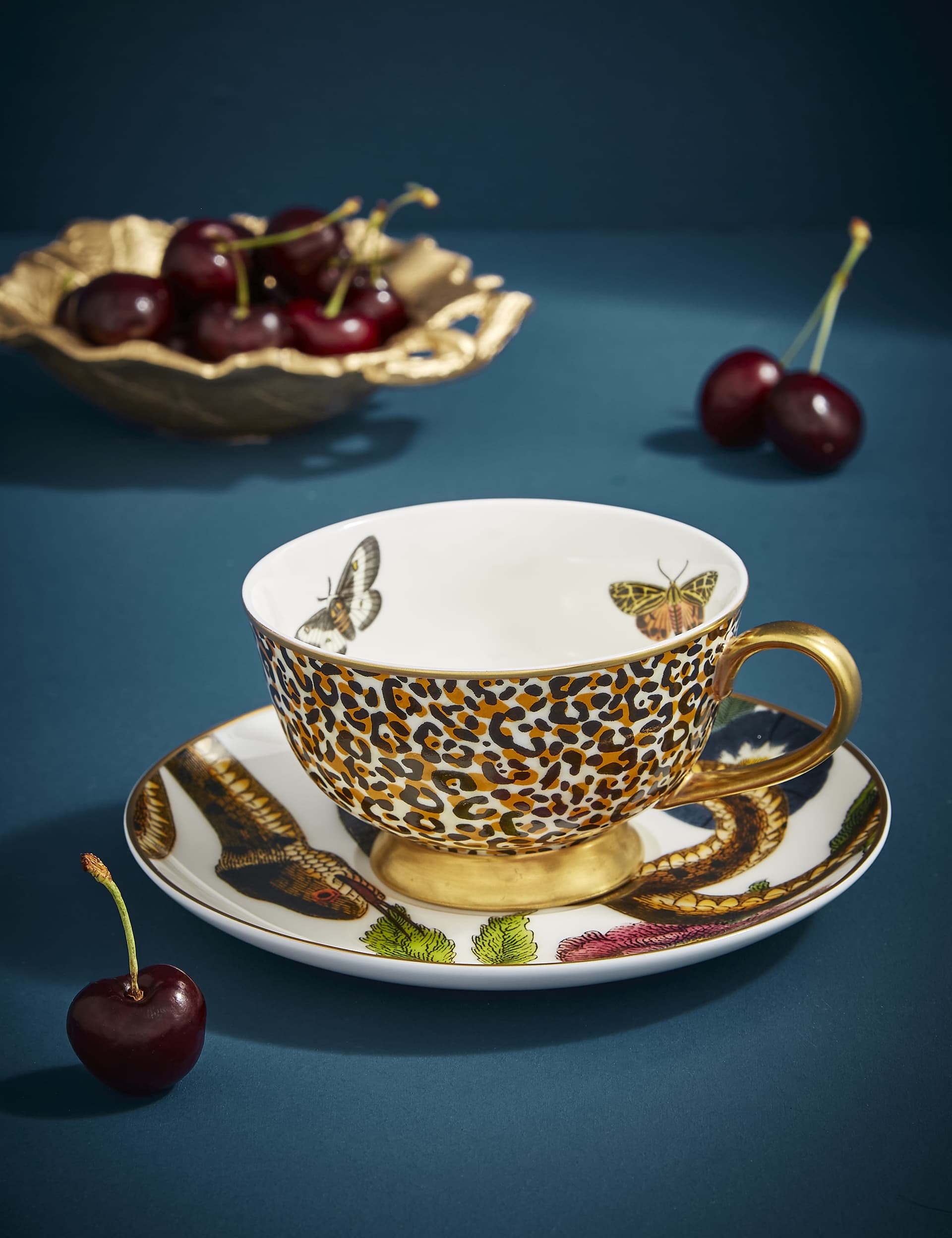 Spode Creatures of Curiosity Cup & Saucer - Multi, Multi