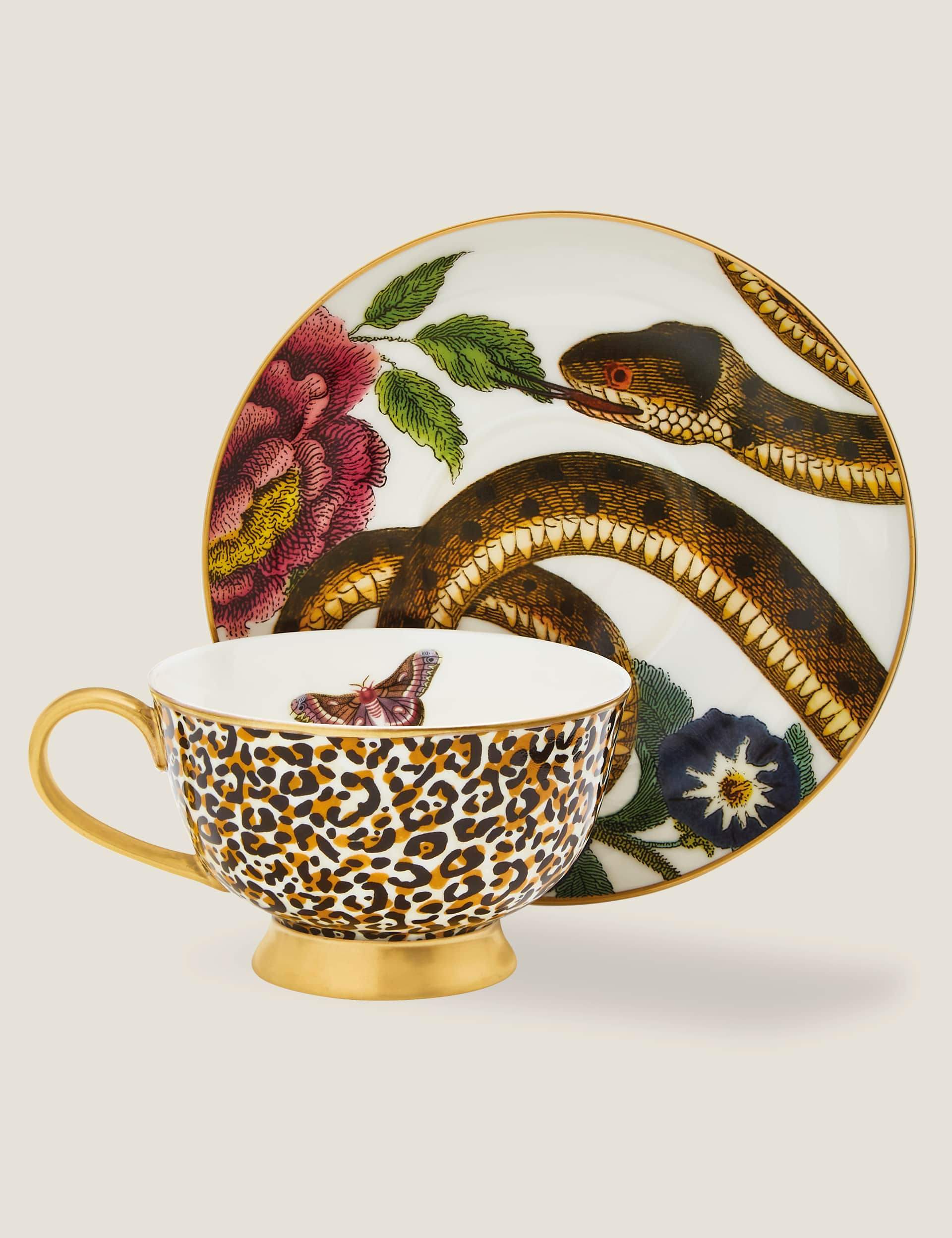 Spode Creatures of Curiosity Cup & Saucer - Multi, Multi