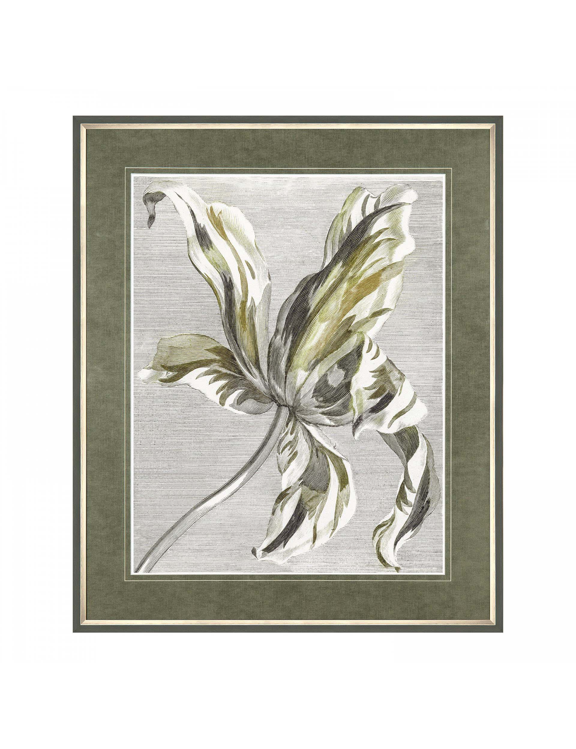 Gallery Direct Tulip Bloom Floral Rectangle Framed Art - Green, Green