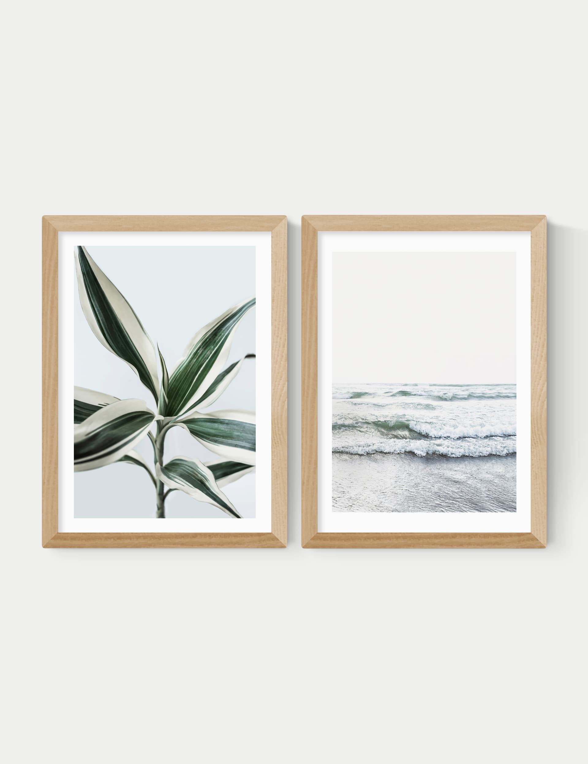 East End Prints Botanical Beach Twin Set Framed Art - A3 - Natural, Natural,Black,White