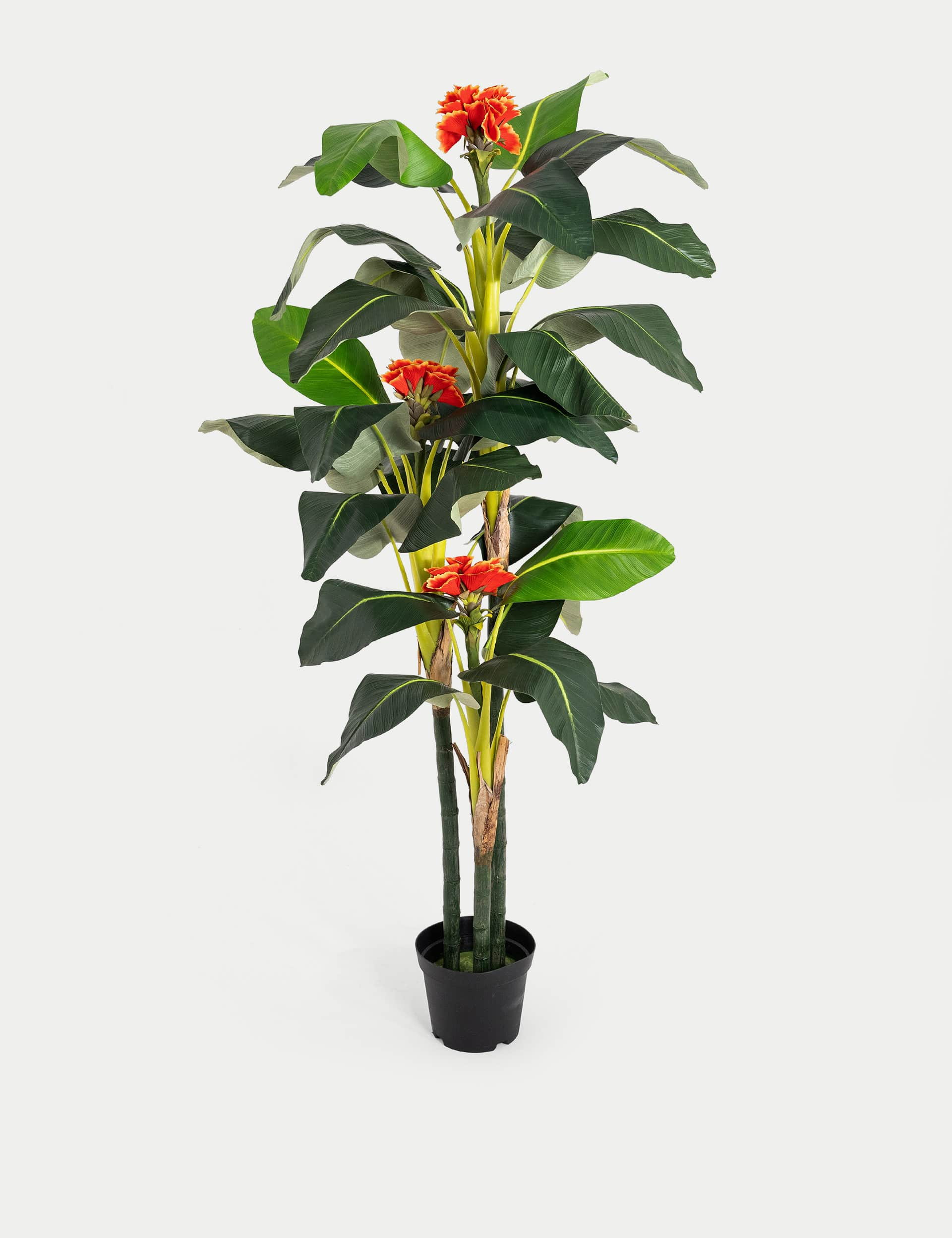 Blooming Artificial 6ft Artificial Banana Tree in Pot - Green, Green