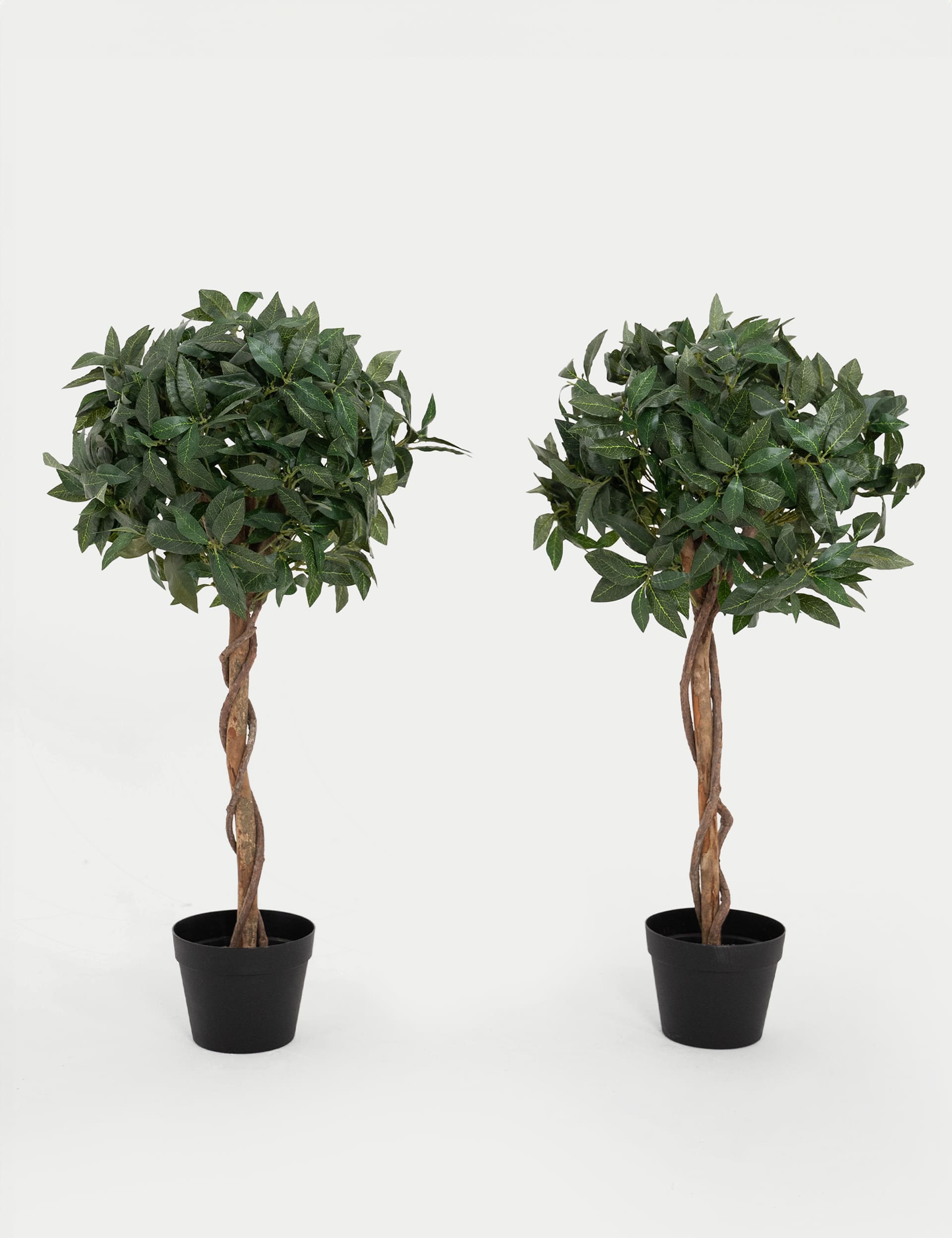 Blooming Artificial 3ft Set of 2 Artificial Bay Trees in Pots - Green, Green