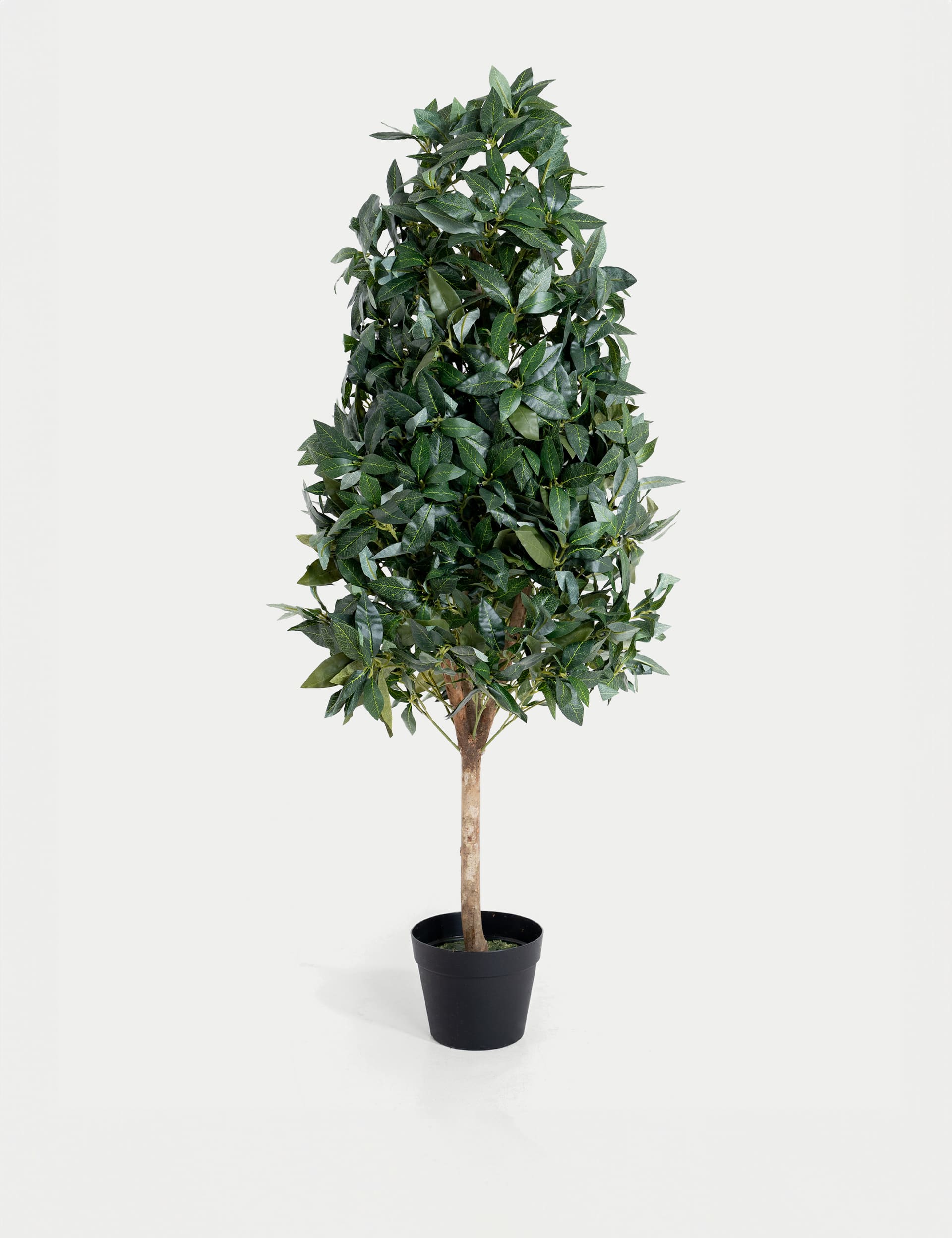 Blooming Artificial 4ft Artificial Bay Cone Tree in Pot - Green, Green