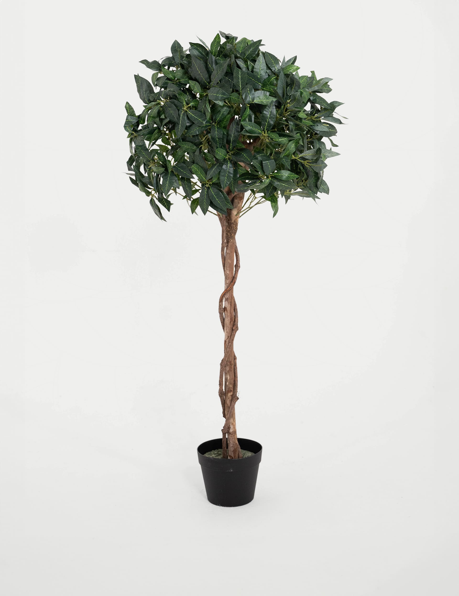 Blooming Artificial 4ft Artificial Bay Laurel Tree in Pot - Green, Green