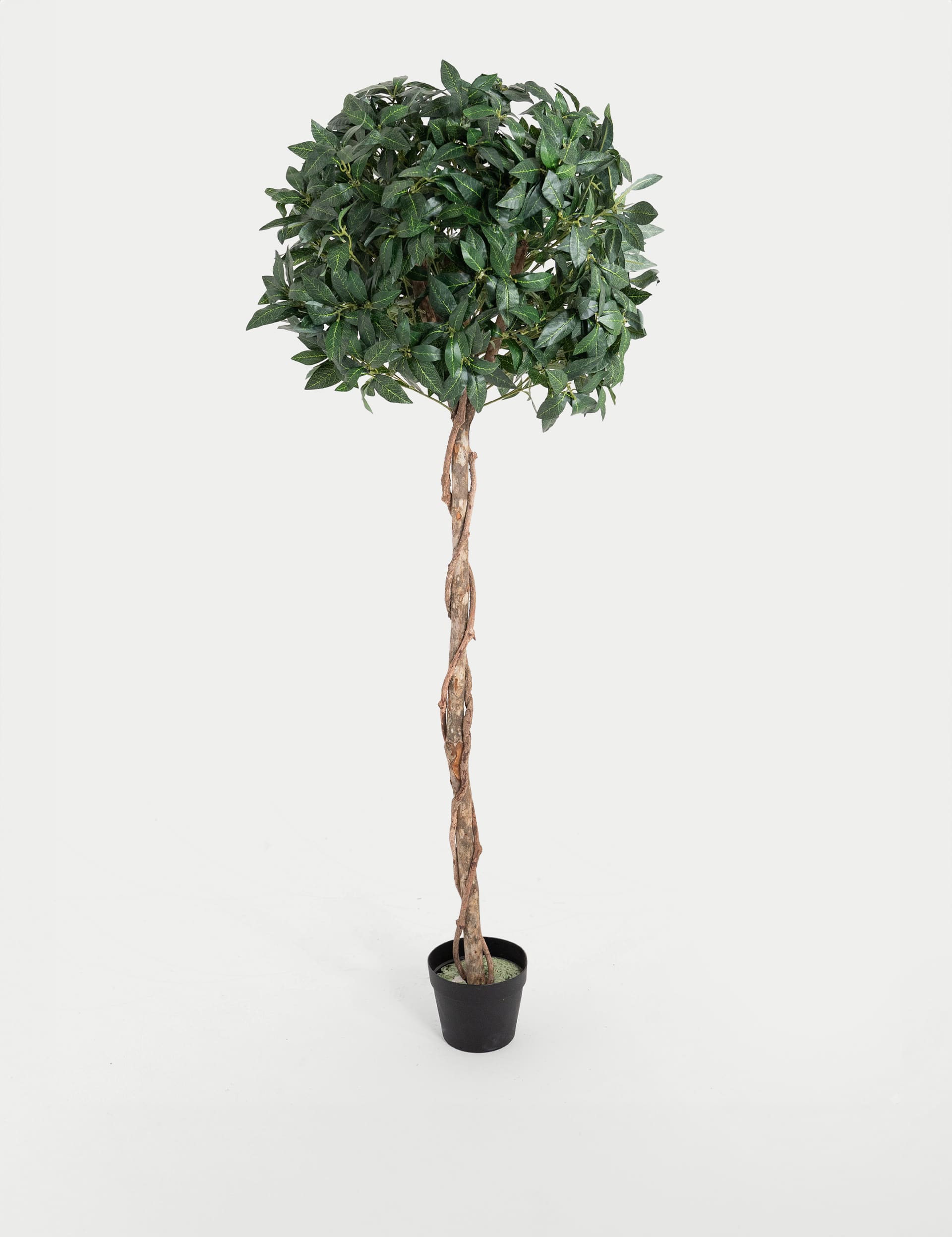 Blooming Artificial 5ft Artificial Bay Laurel Tree in Pot - Green, Green