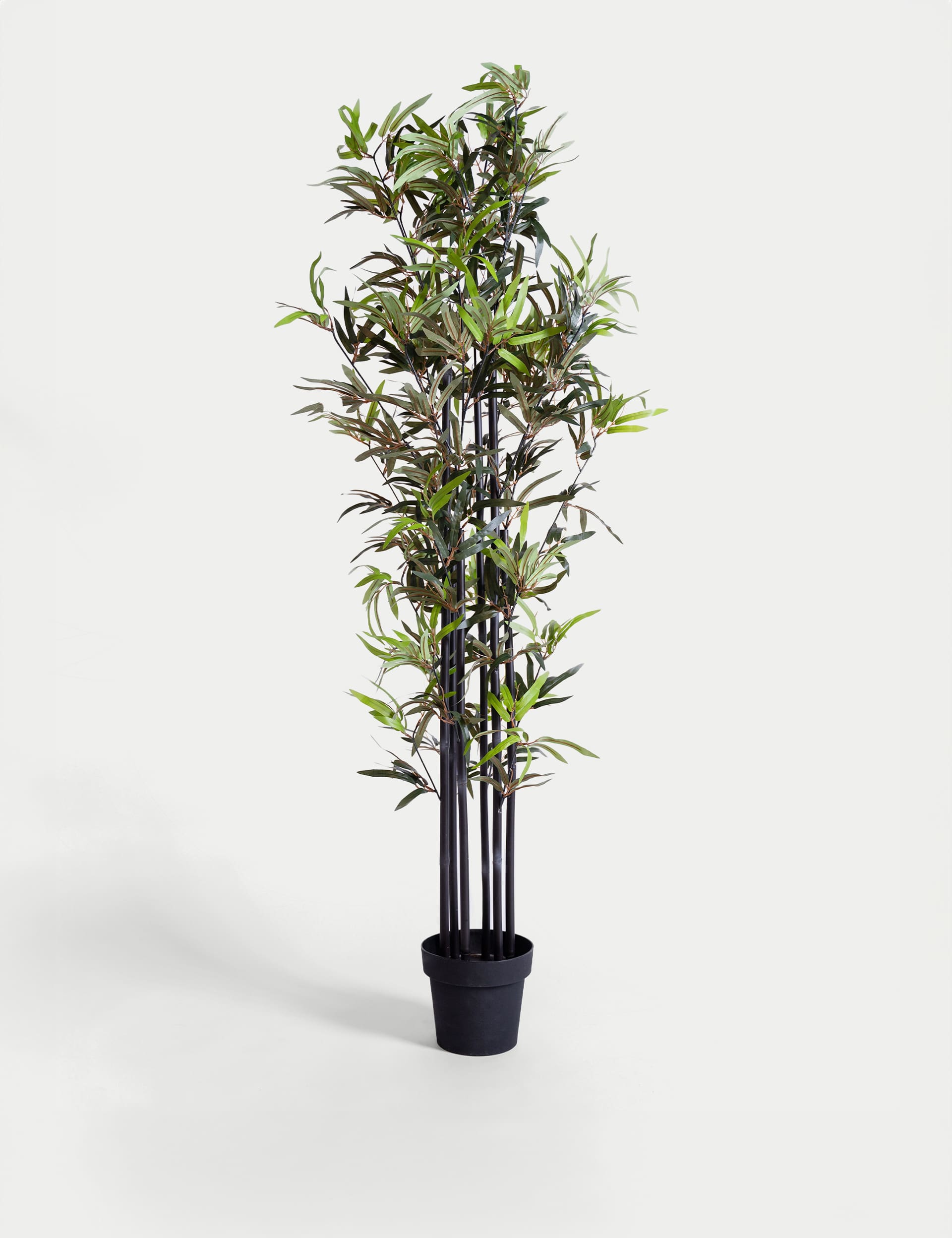 Blooming Artificial 5.5ft Artificial Black Stem Bamboo in Pot - Green, Green