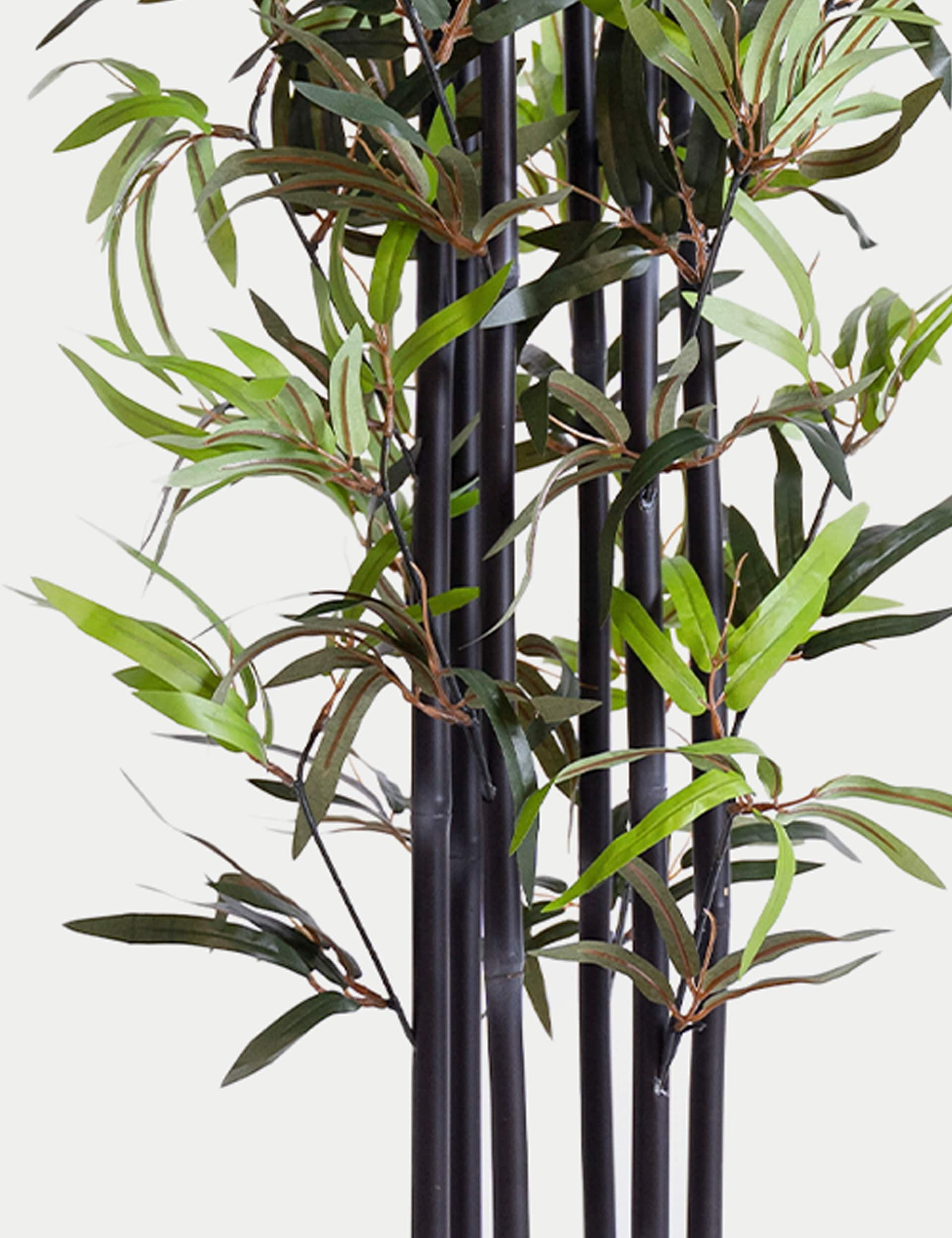 Blooming Artificial 5.5ft Artificial Black Stem Bamboo in Pot - Green, Green