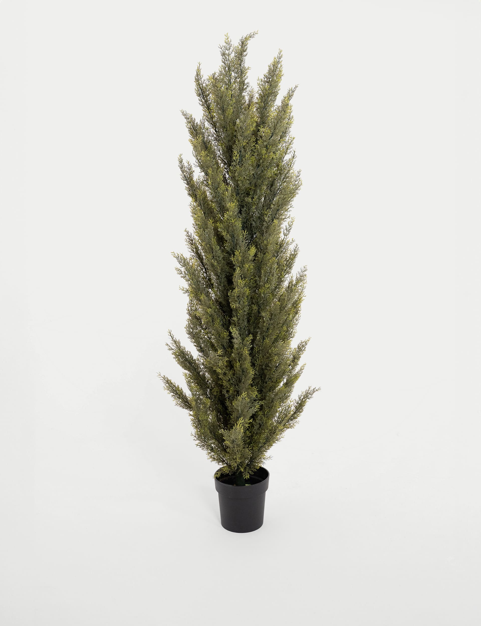 Blooming Artificial 6ft Artificial Conifer Tree in Pot - Green, Green