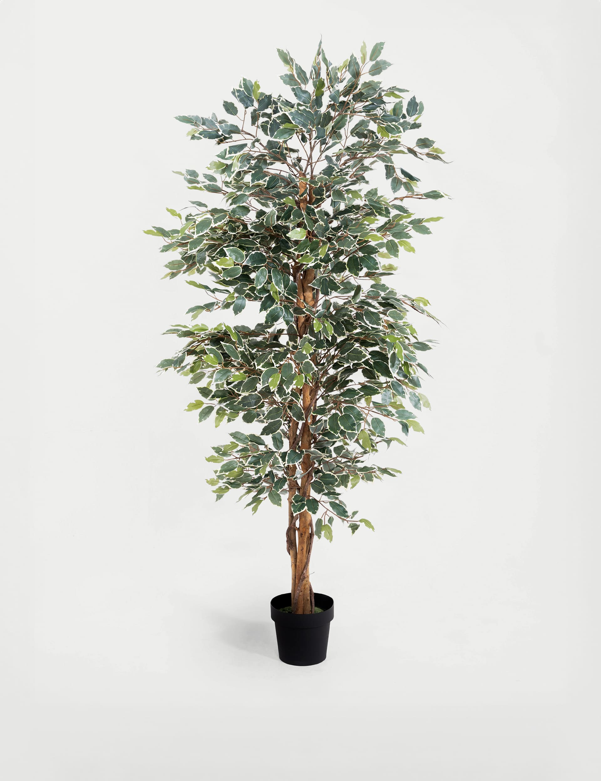 Blooming Artificial 5ft Artificial Ficus Tree - Green Mix, Green Mix