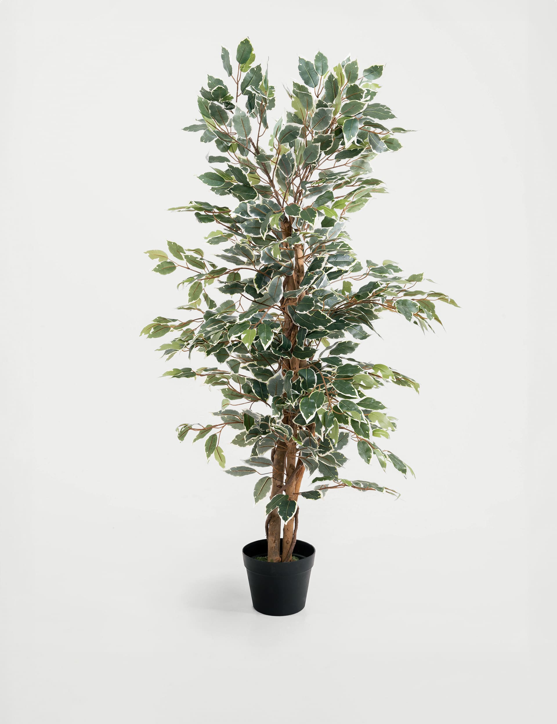 Blooming Artificial 4ft Artificial Ficus Tree in Pot - Green Mix, Green Mix