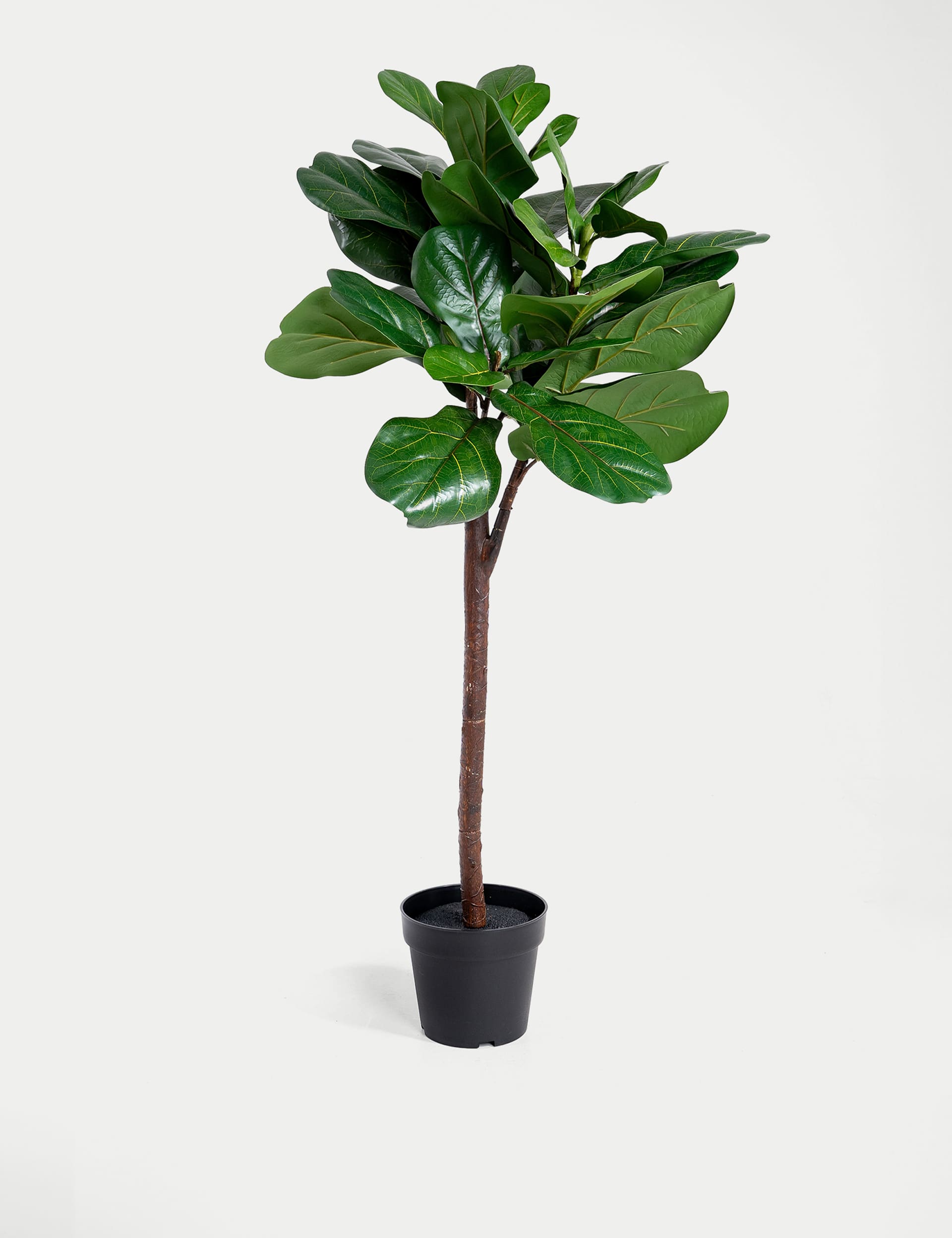 Blooming Artificial 4ft Artificial Floor Standing Fig Tree - Green, Green