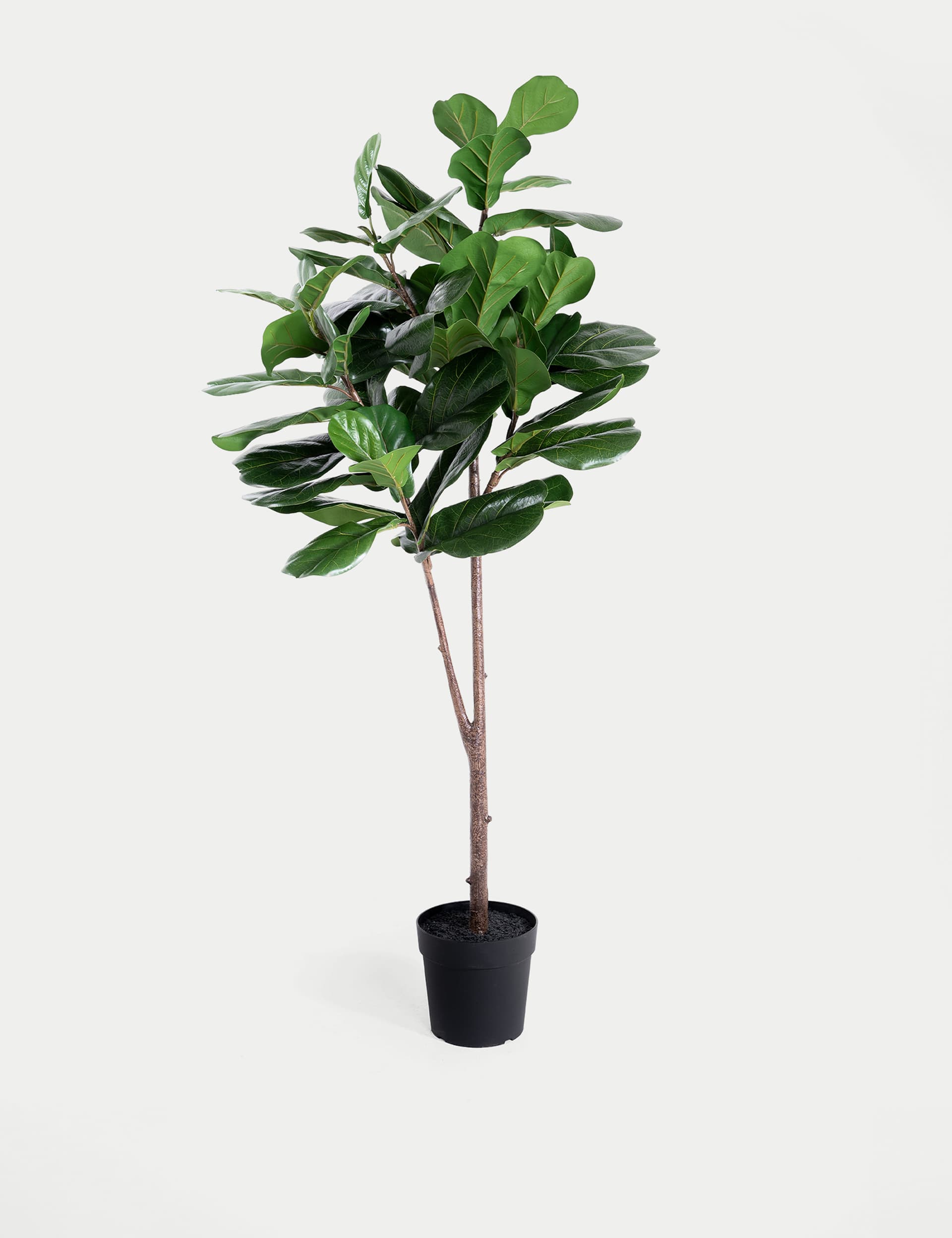 Blooming Artificial 6ft Artificial Floor Standing Fig Tree - Green, Green