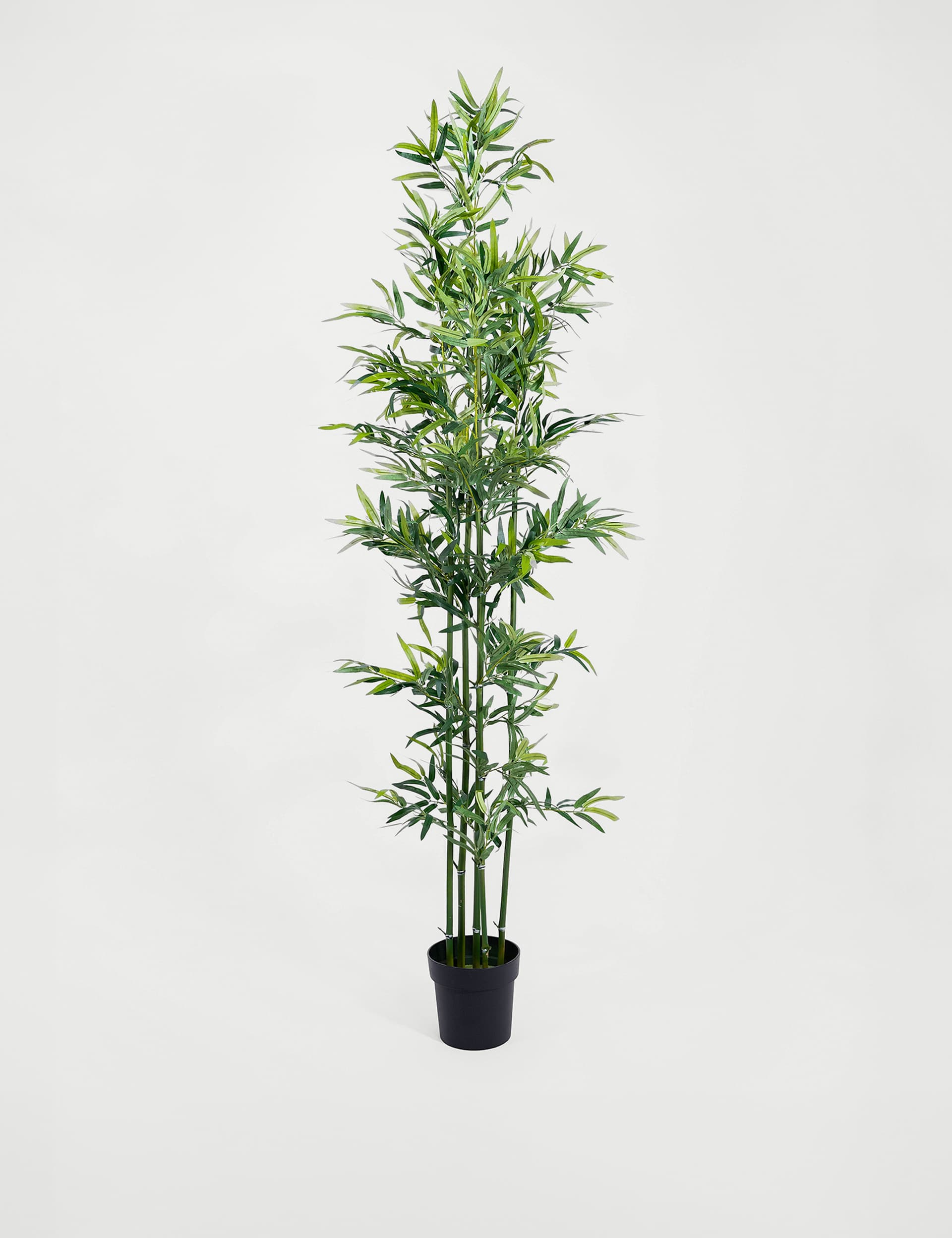 Blooming Artificial 7ft Artificial Green Stem Bamboo in Pot, Green