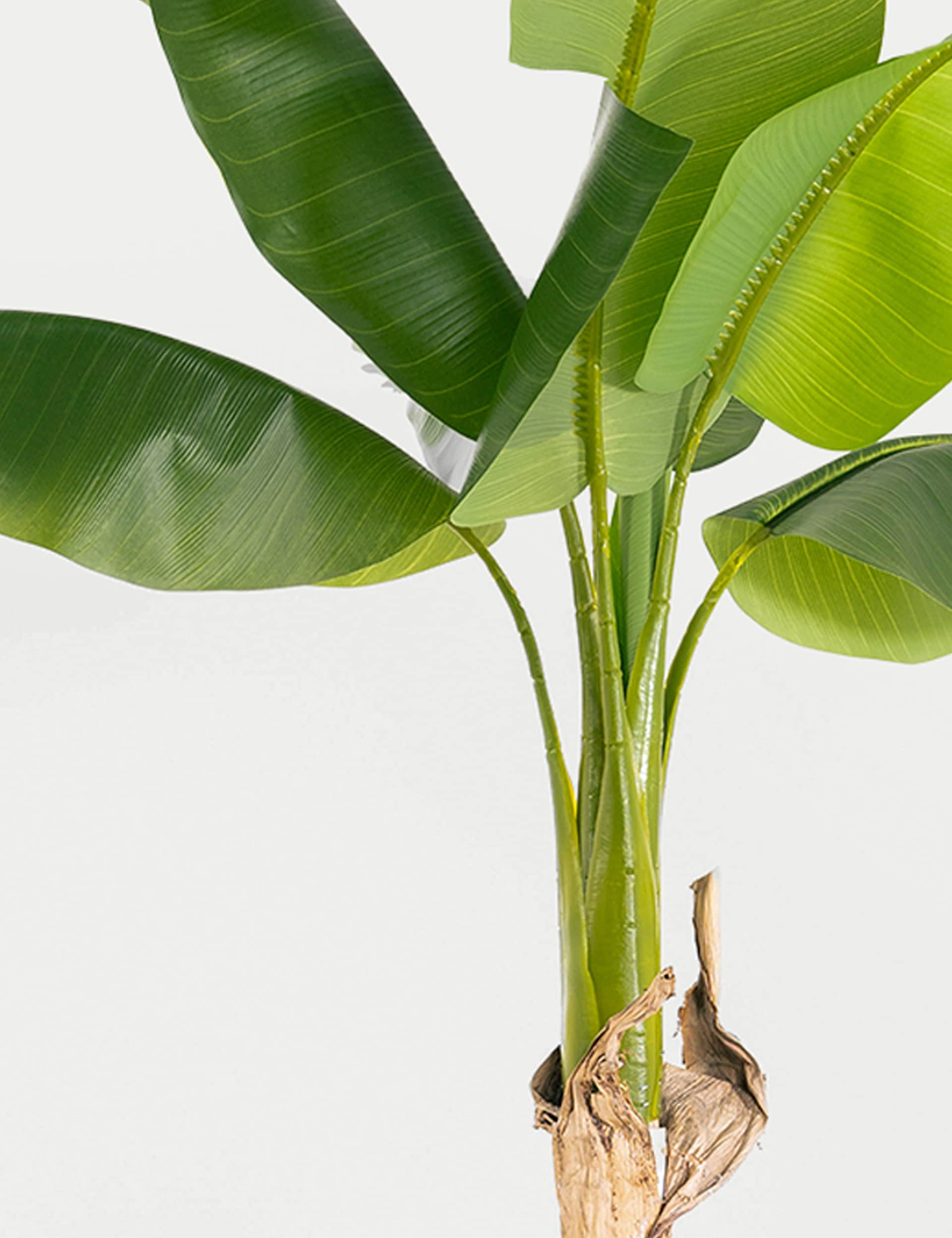 Blooming Artificial 5.5ft Artificial Musa Banana Tree in Pot - Green, Green