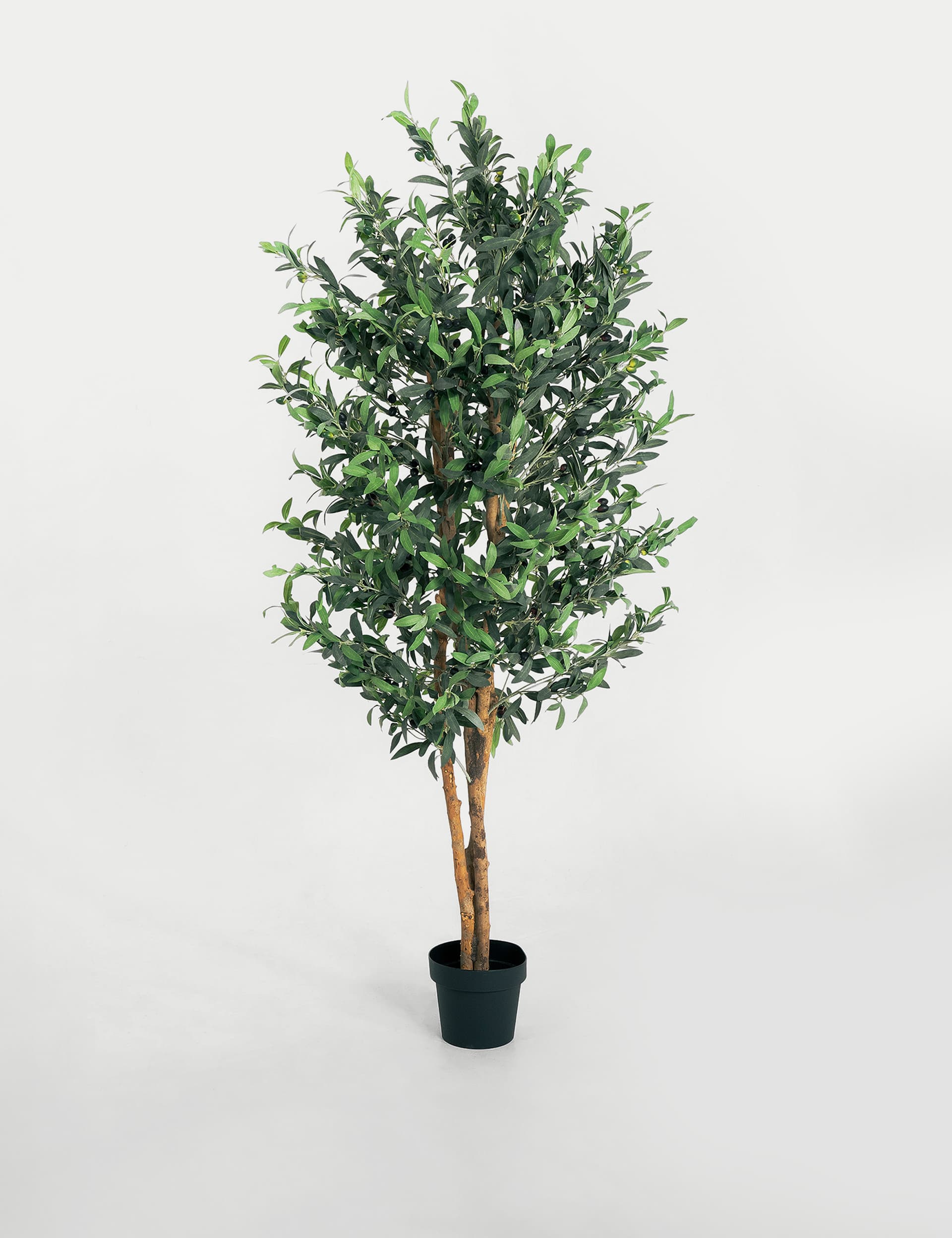 Blooming Artificial 6ft Artificial Olive Tree in Pot - Green, Green