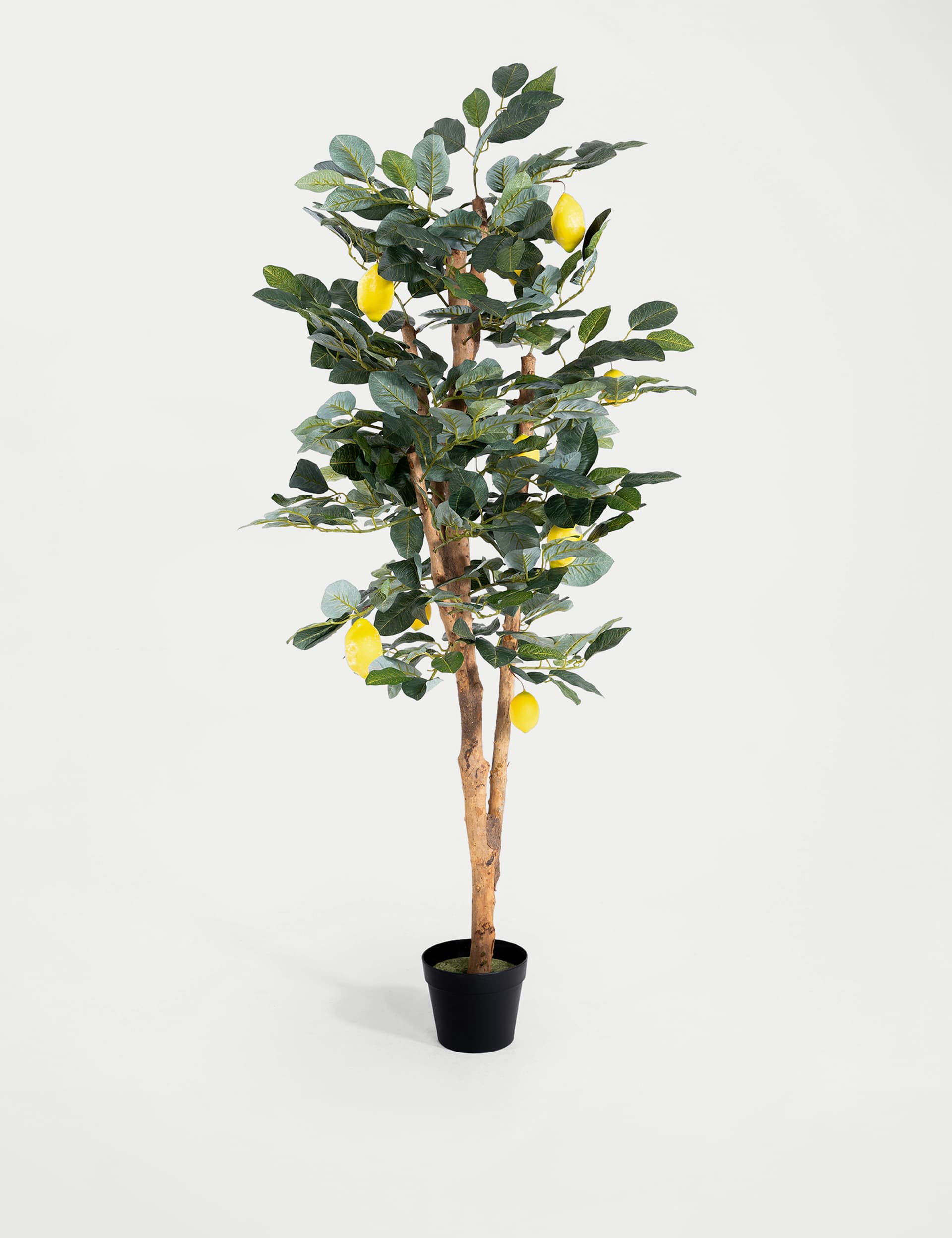 Blooming Artificial Artificial Lemon Tree in Pot - Green, Green