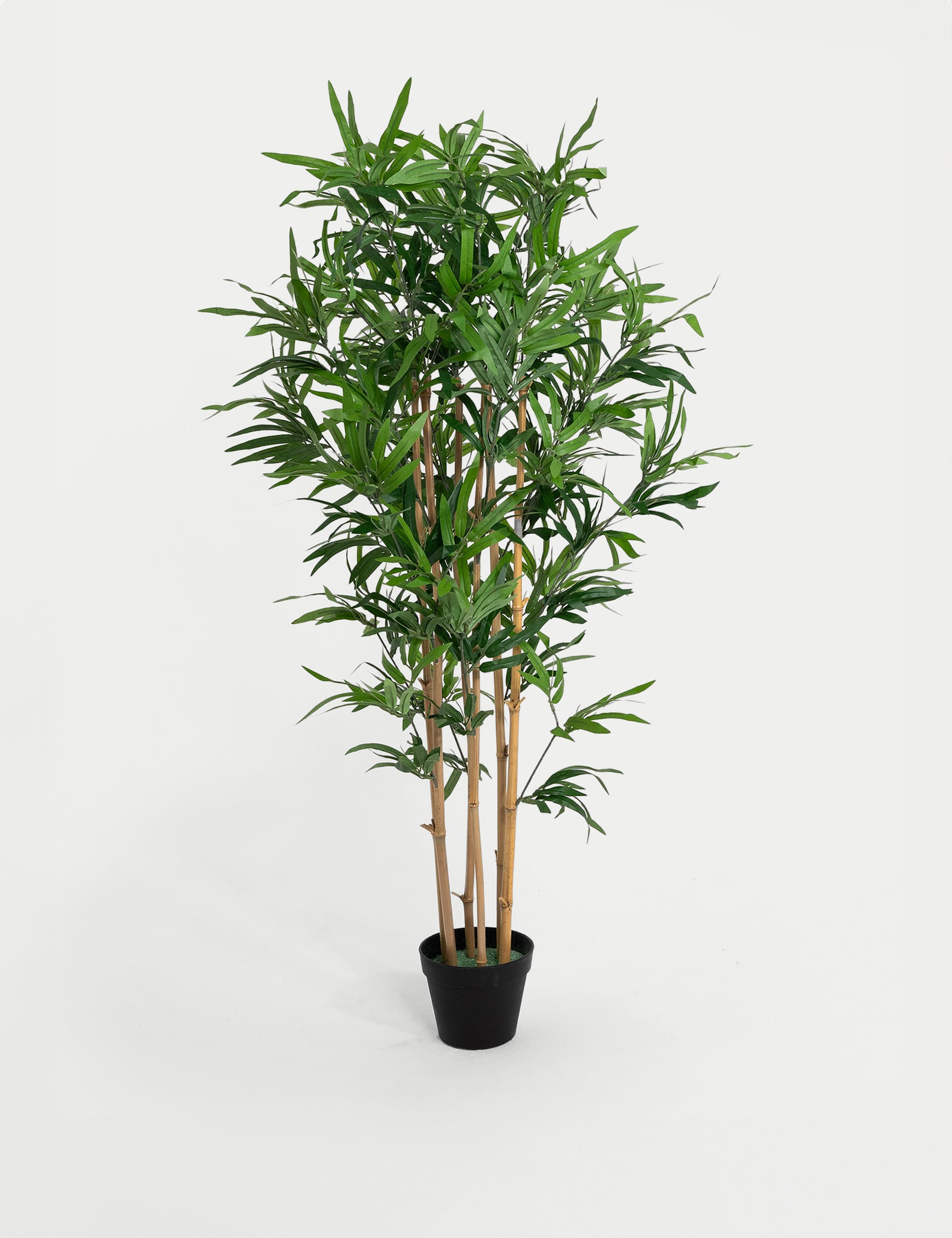 Blooming Artificial 4ft Artificial Oriental Bamboo Plant in Pot - Green, Green