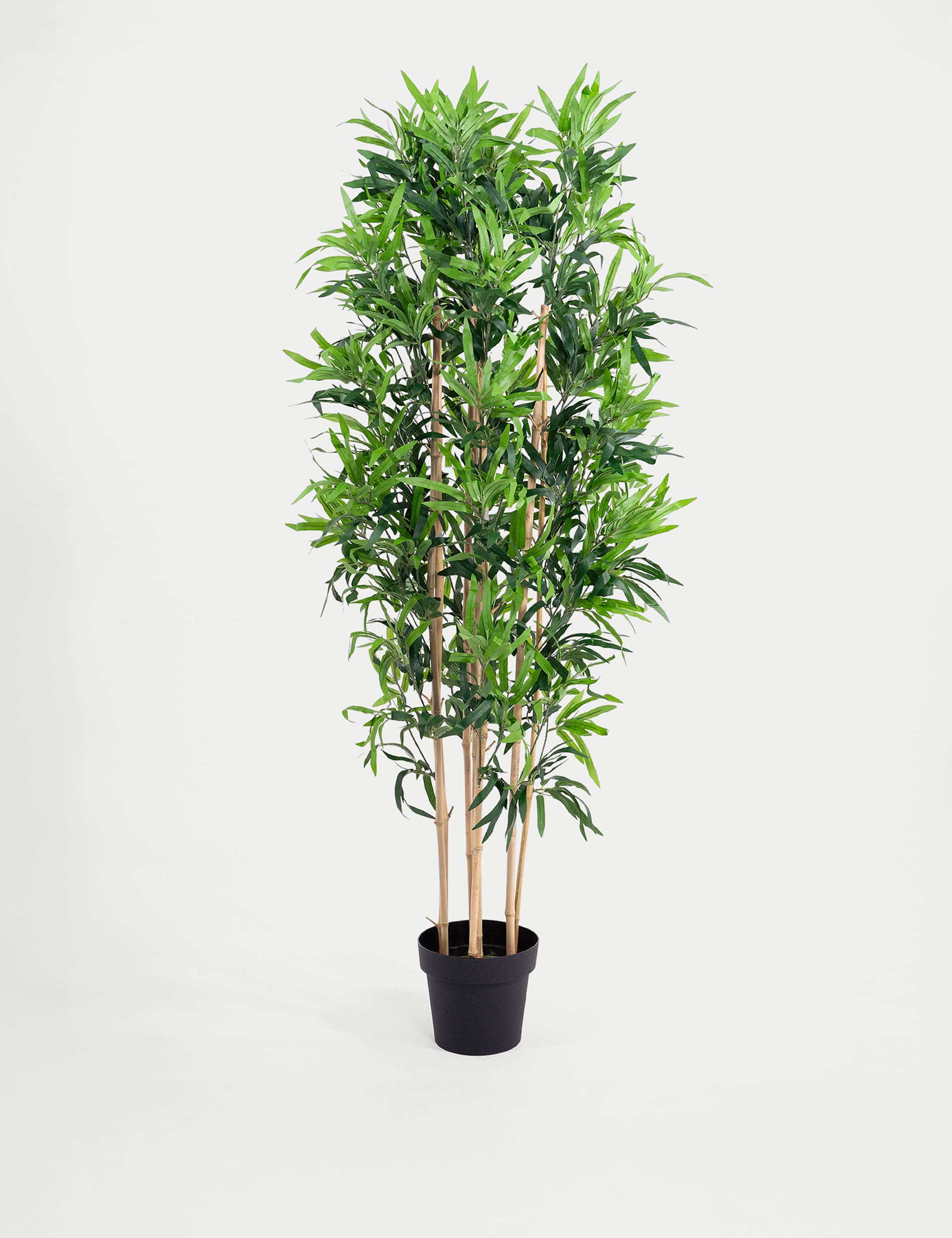 Blooming Artificial 5ft Artificial Oriental Bamboo Tree - Green, Green