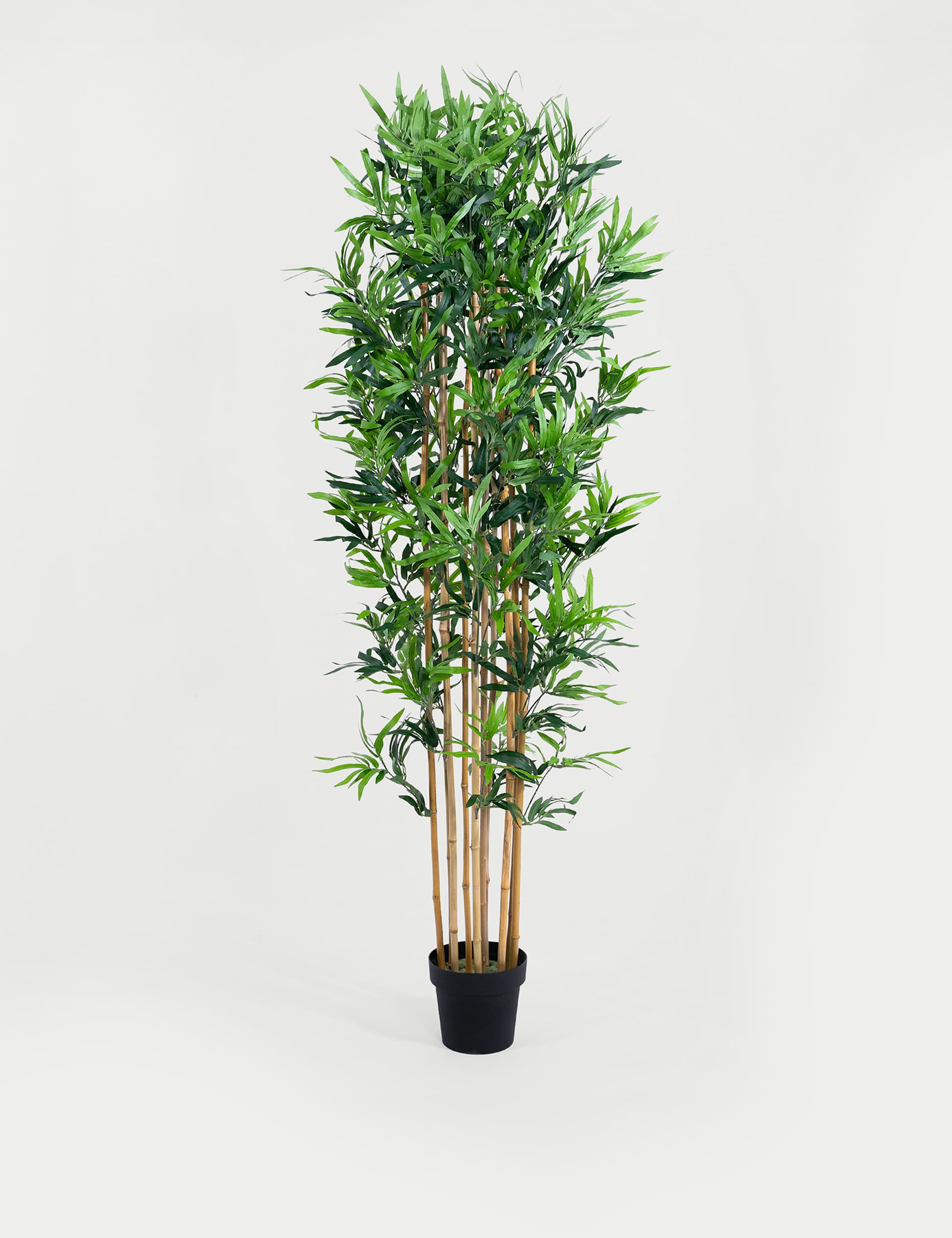 Blooming Artificial 6ft Artificial Floor Standing Bamboo Tree - Green, Green