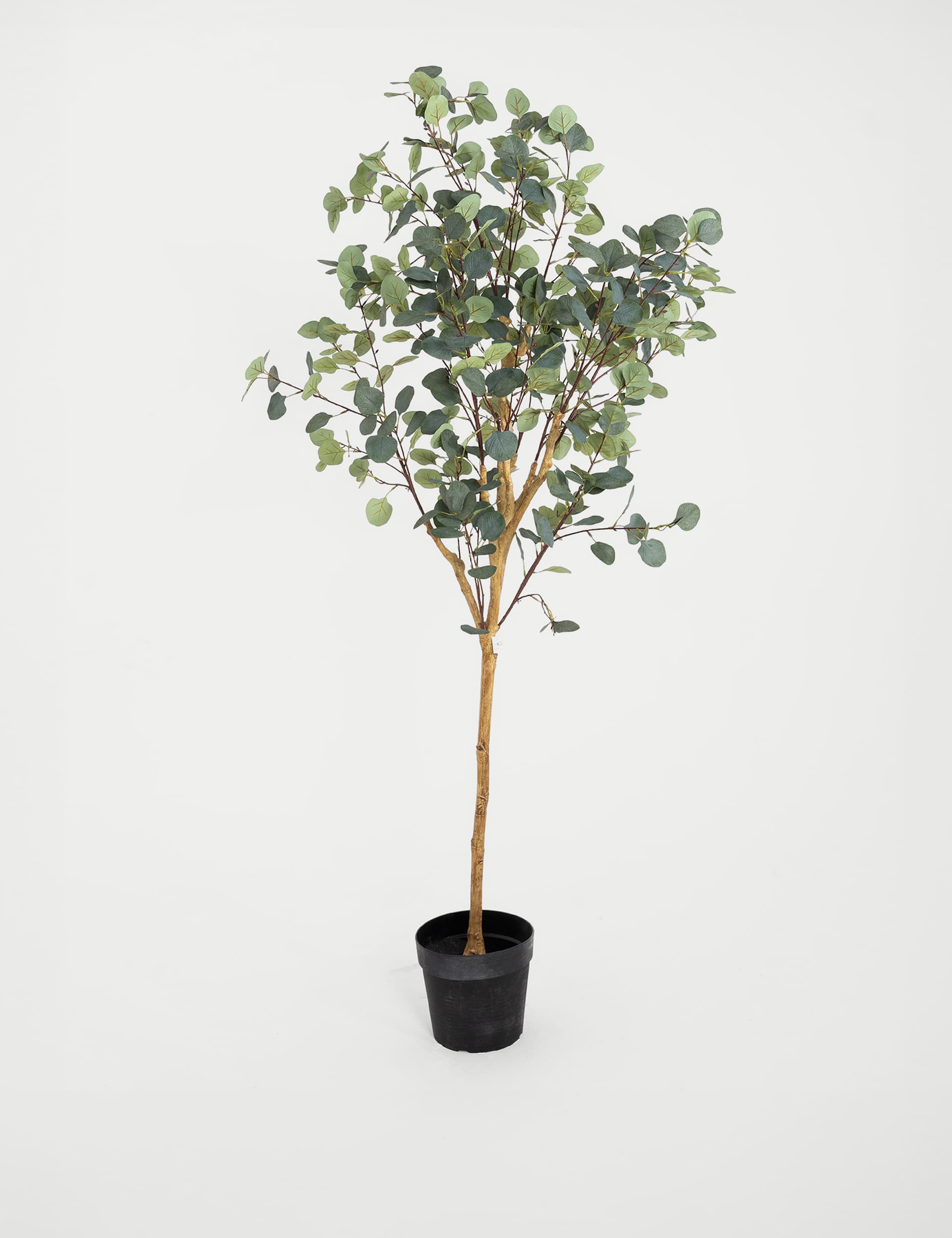 Blooming Artificial 5.5ft Artificial Silver Dollar Eucalyptus Tree - Green, Green