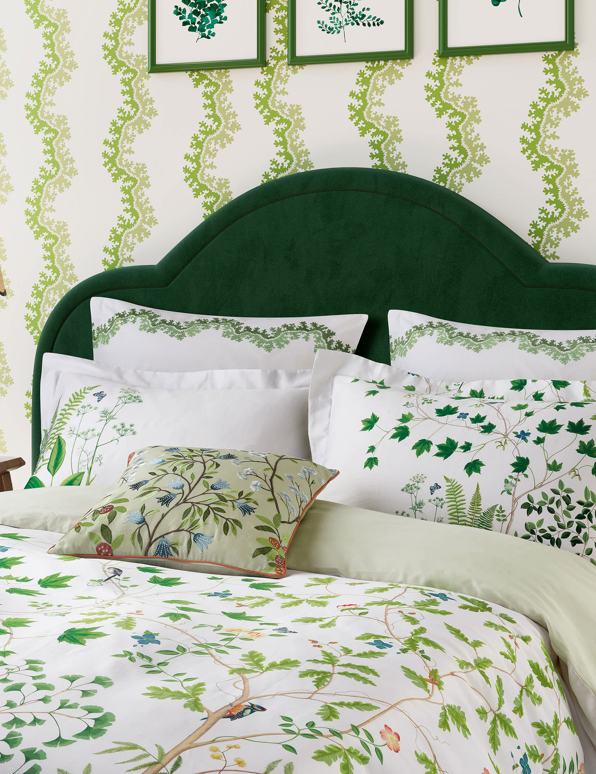 Sanderson X National Trust Pure Cotton Sateen Sycamore & Oak Bedding Set - DBL - Green, Green