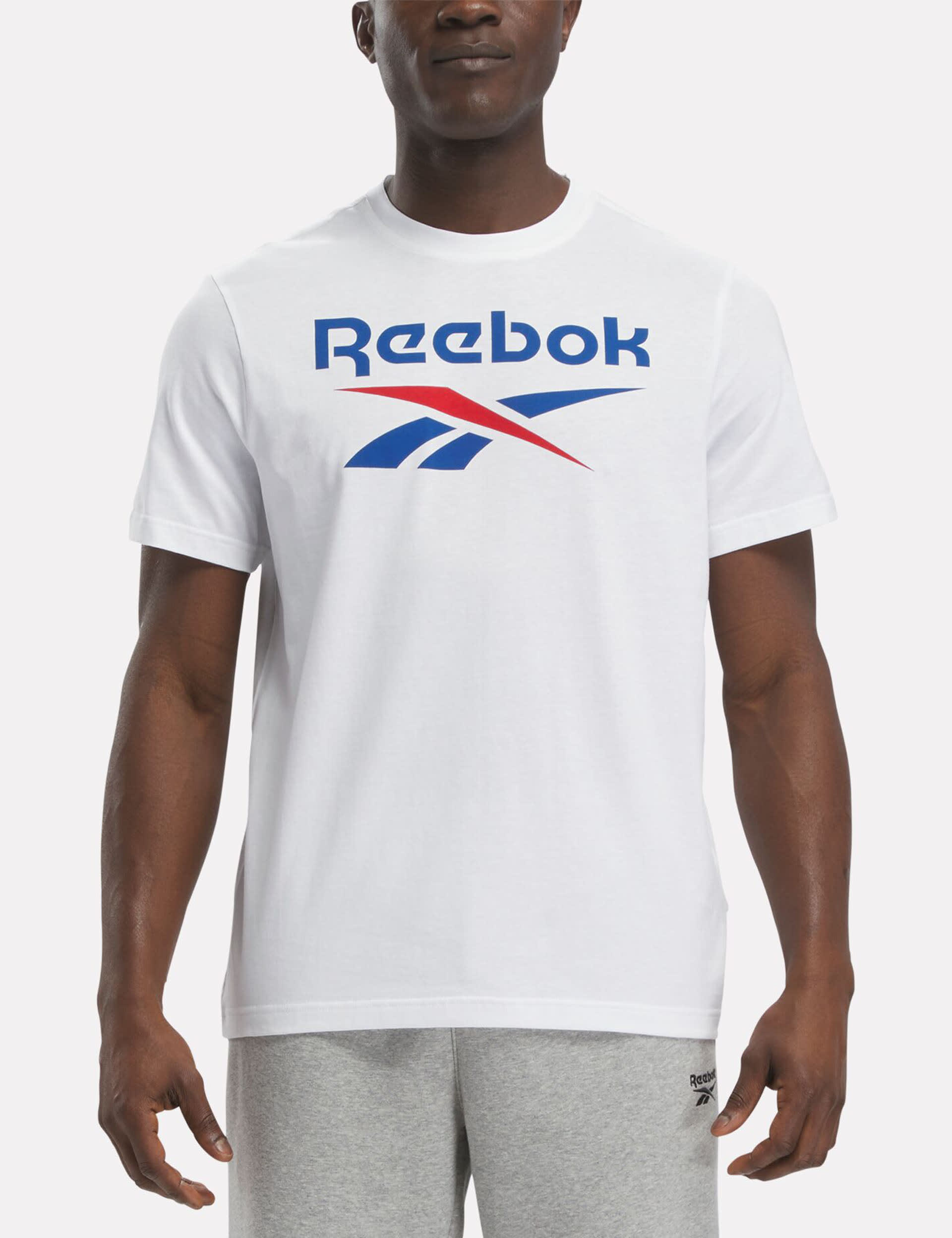 Reebok Men's Identity Big Logo Pure Cotton T-Shirt - White, White,Burgundy Mix,Teal Mix